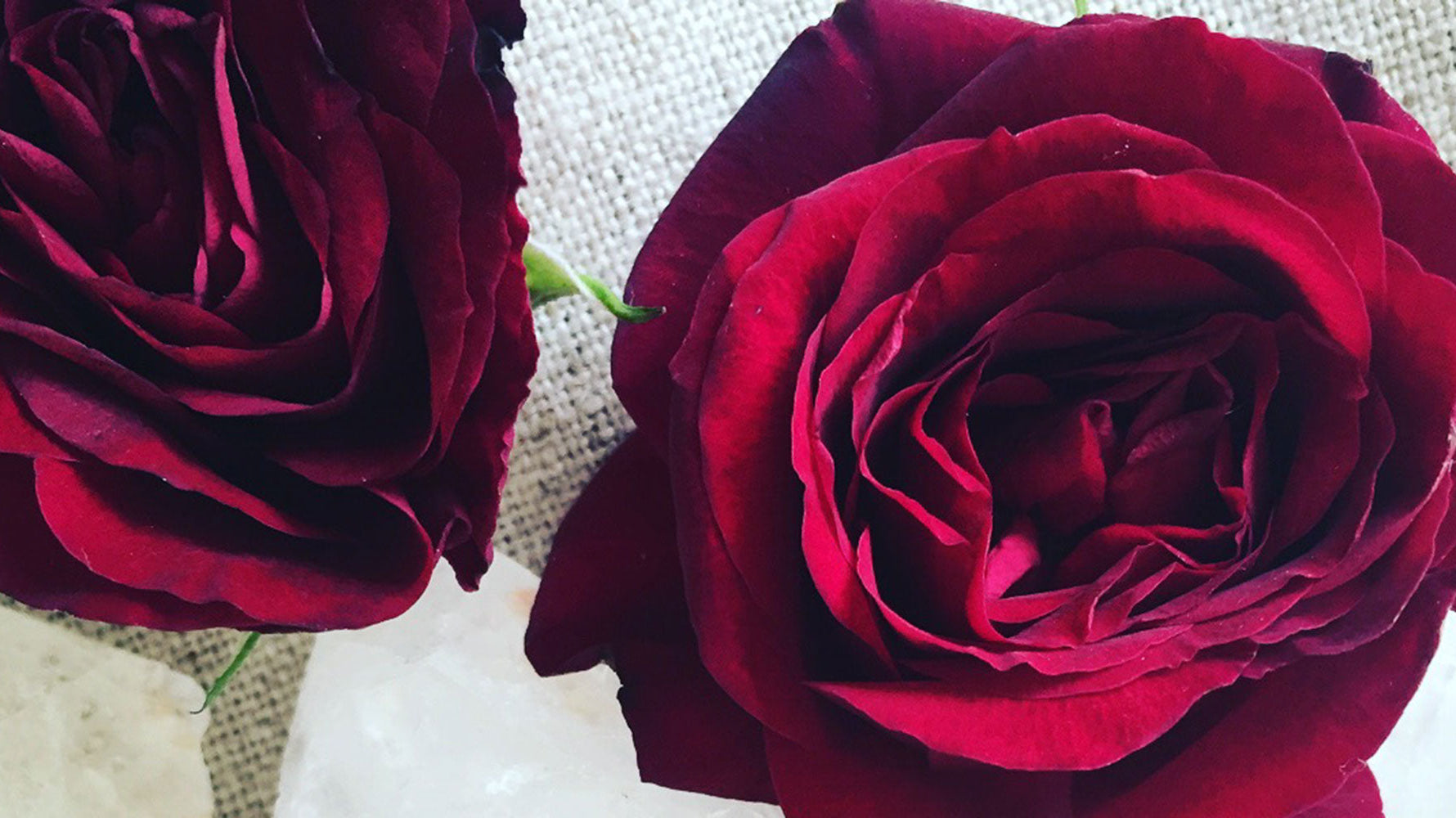 Learn how to incorporate the Flower Medicine of Roses to heal you heart chakra for mind, body, and spirit wellness.