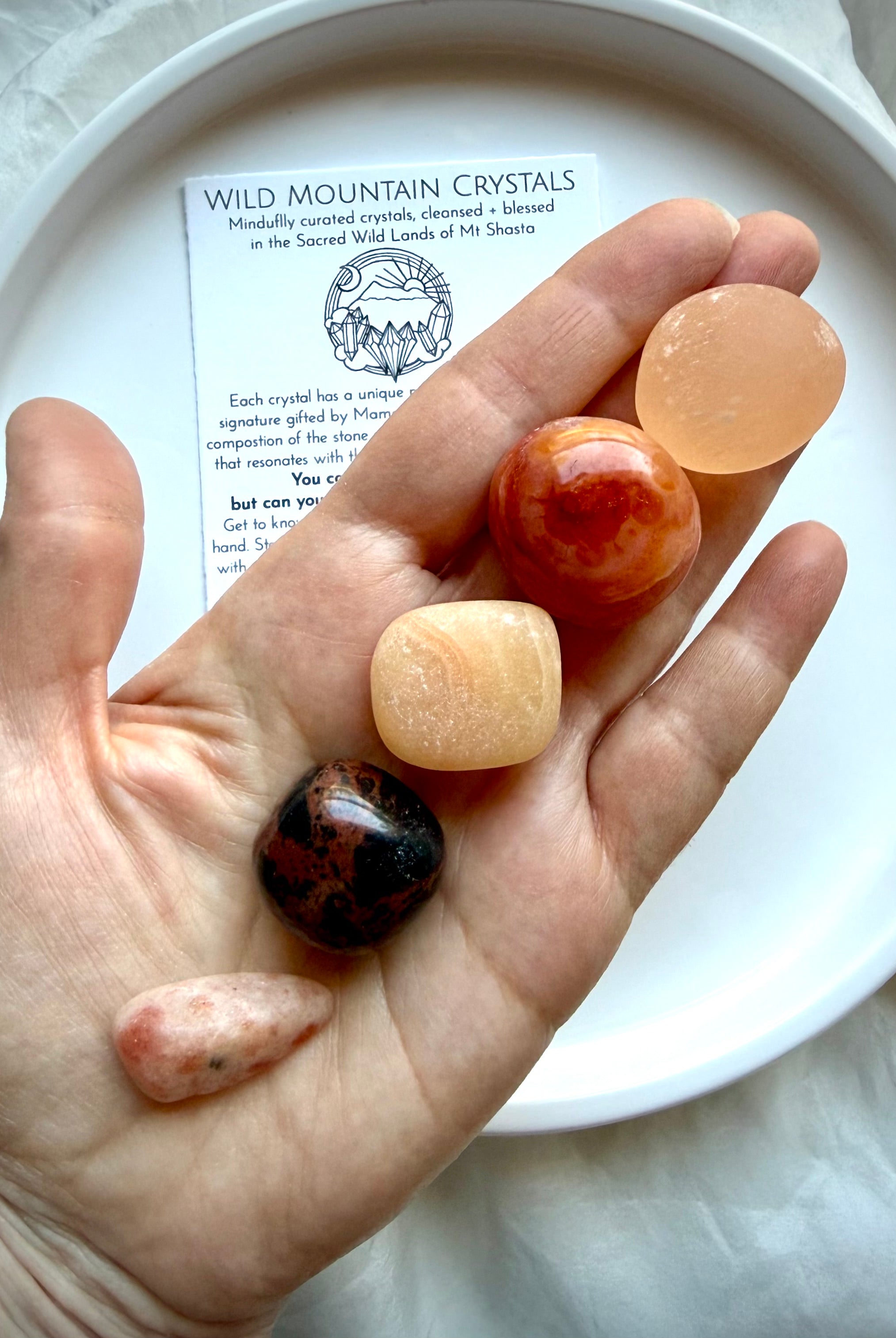 Sacral Chakra healing stones held in hand, crystal set for creativity, confidence, emotional balance, and vitality
