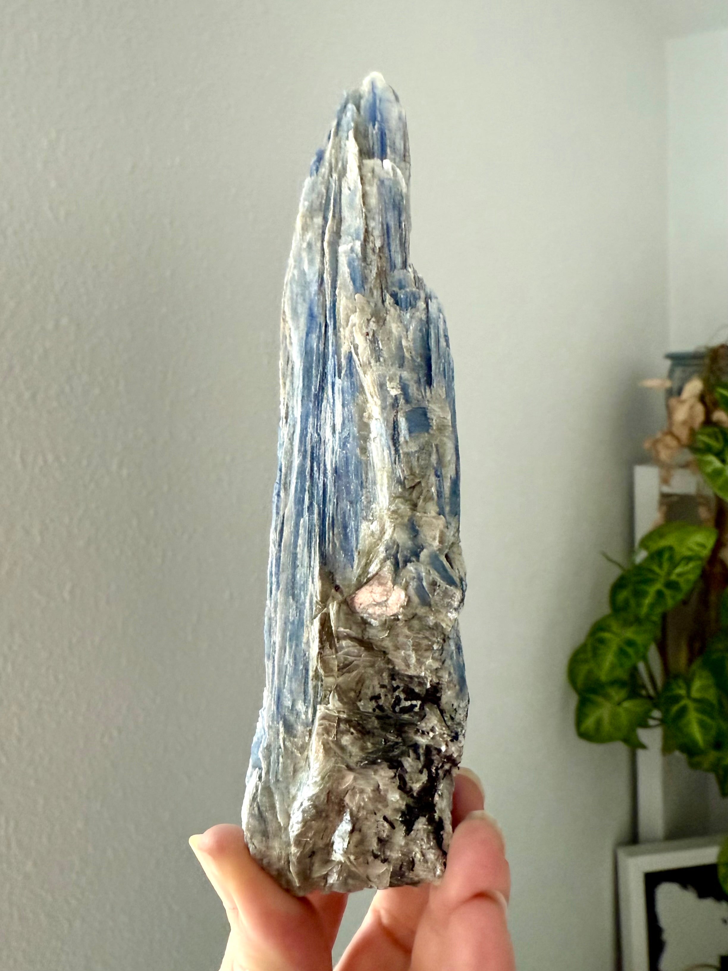 Raw blue kyanite + muscovite specimen with silvery mineral dust and layered crystal growth held in hand