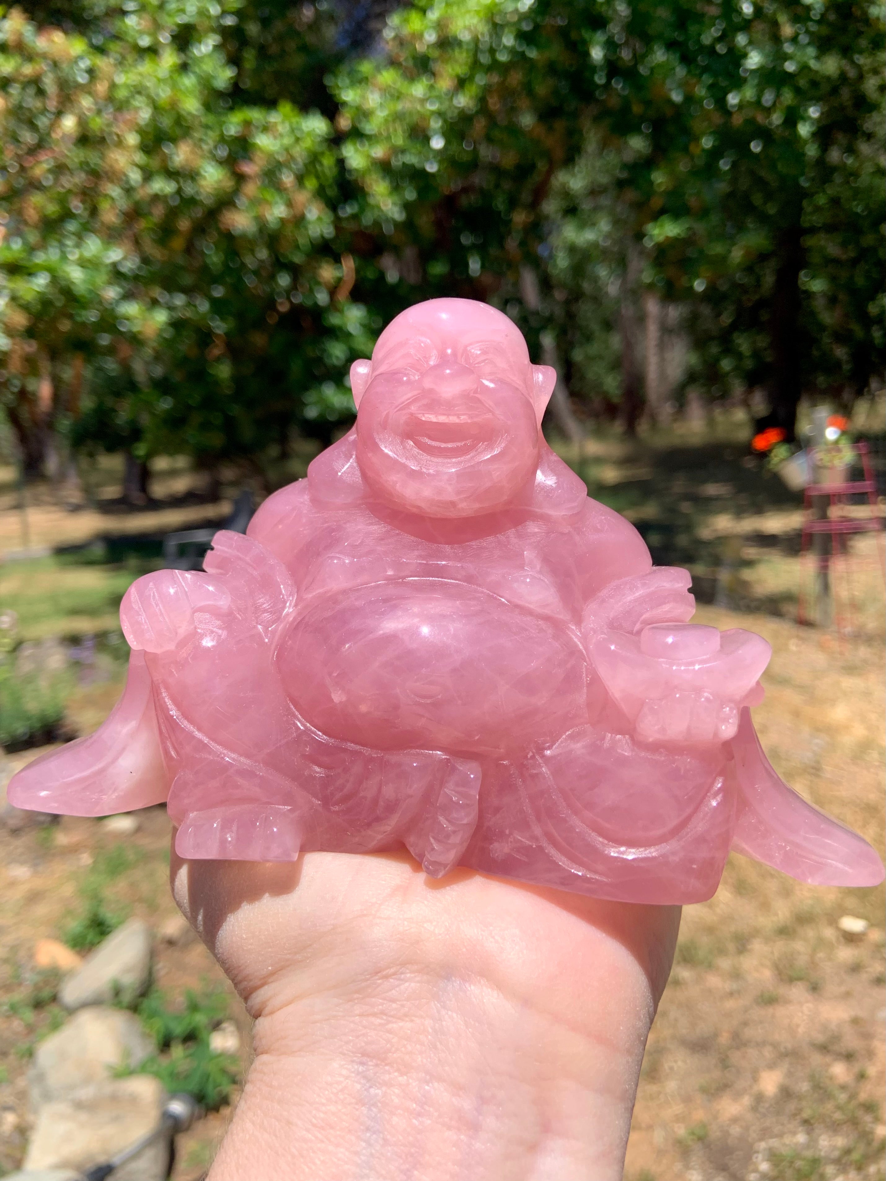 Very Pink, High Quality, Large Rose Quartz Laughing Buddha Carving photographed outside in the natural sunshine