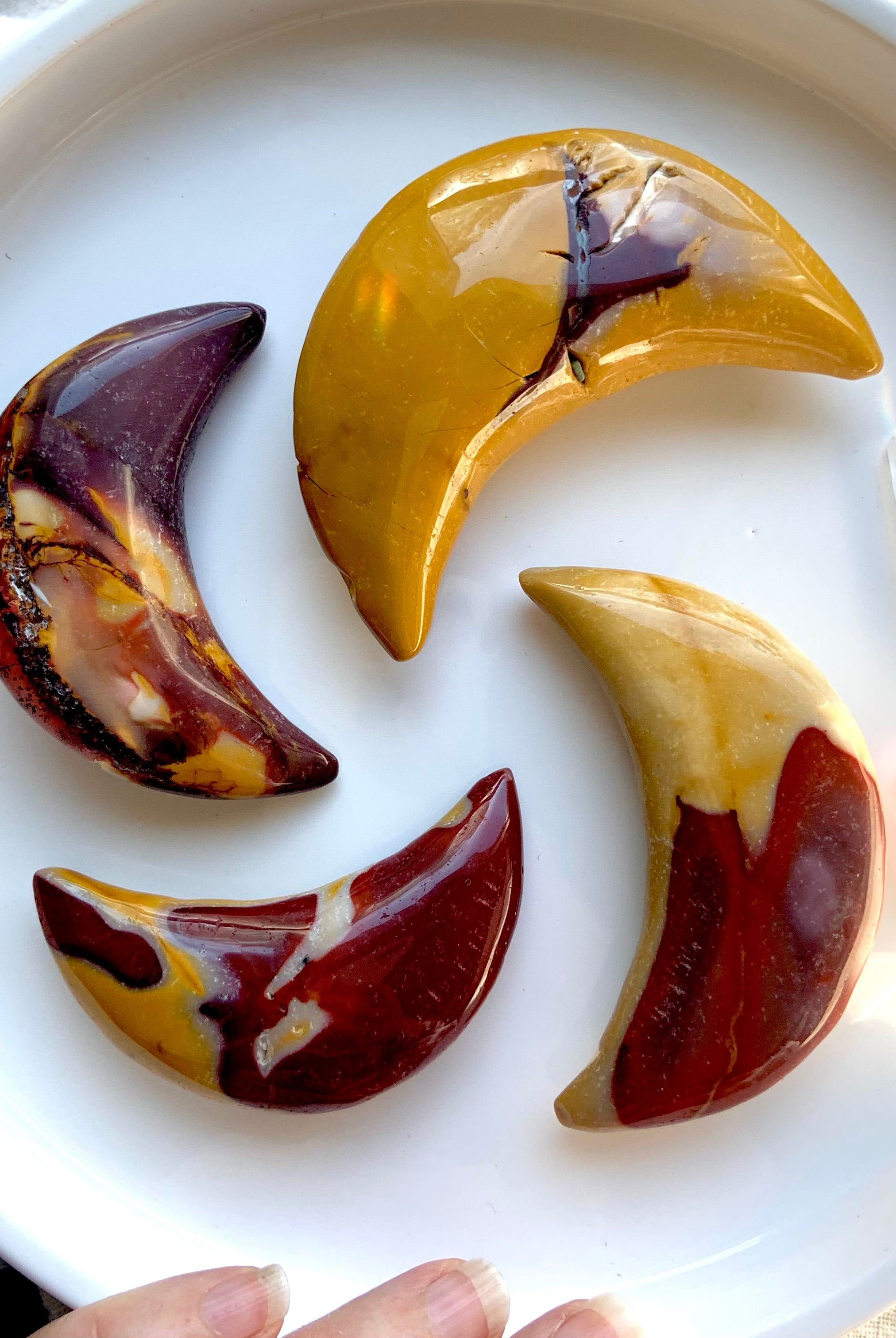 Big, colorful Mookaite Jasper Crescent Moon Carvings shown on a white plate. Choose your favorite from the dropdown menu.