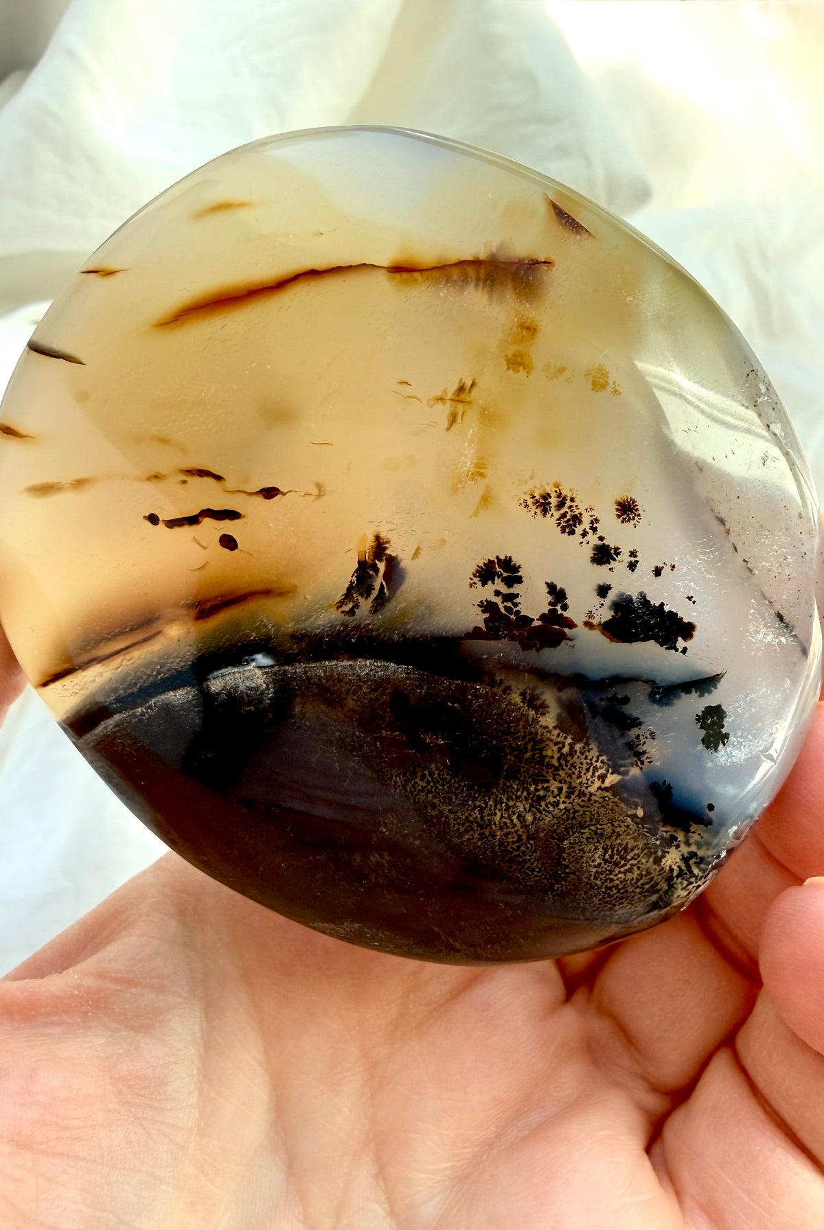 Dendritic Agate freeform held in hand, revealing delicate black dendritic formations and warm golden honey-colored layers