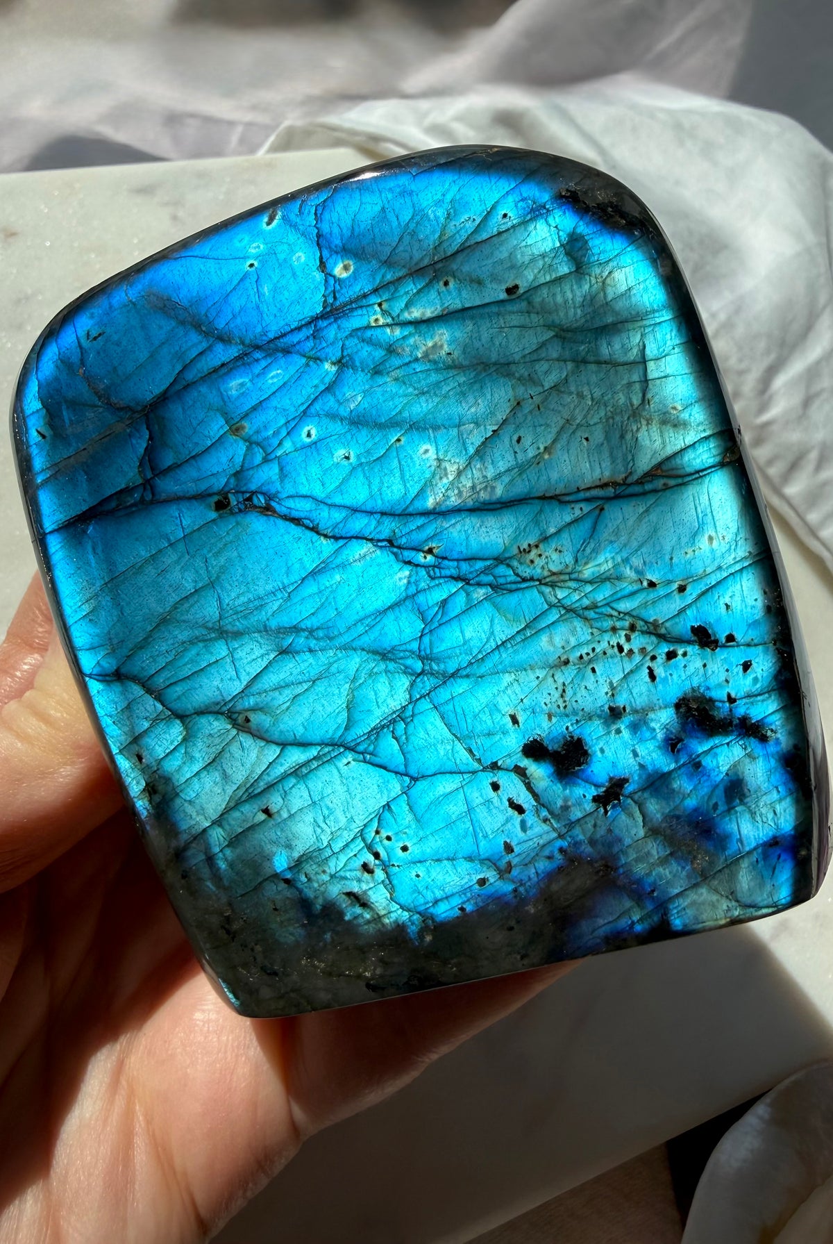 Blue Flash Labradorite freeform with vivid electric blue and aqua full-face labradorescence
