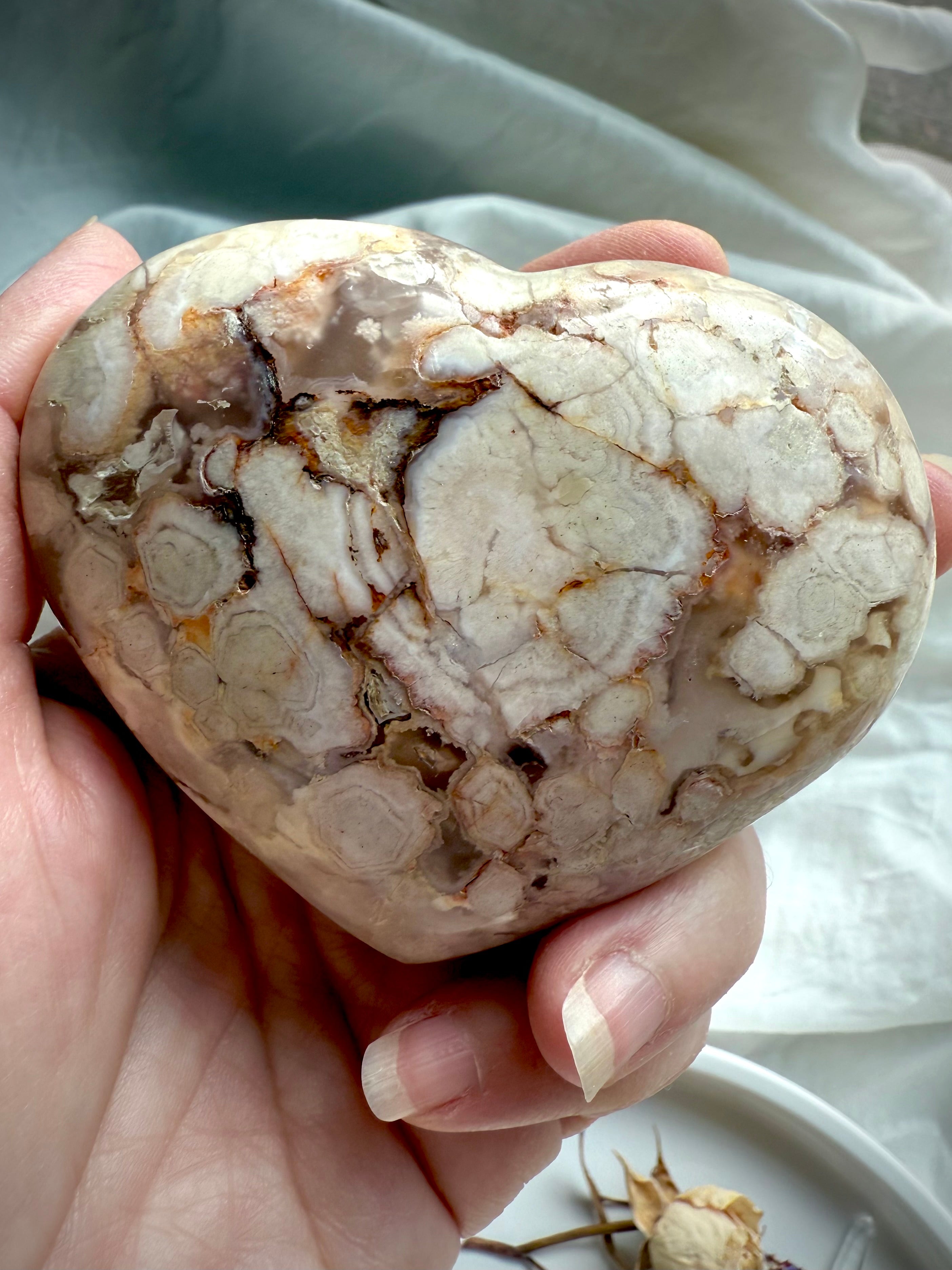 Flower Agate heart held straight-on in hand, highlighting delicate flower-like inclusions โ healing crystal for emotional renewal, grounding, and gentle transformation.