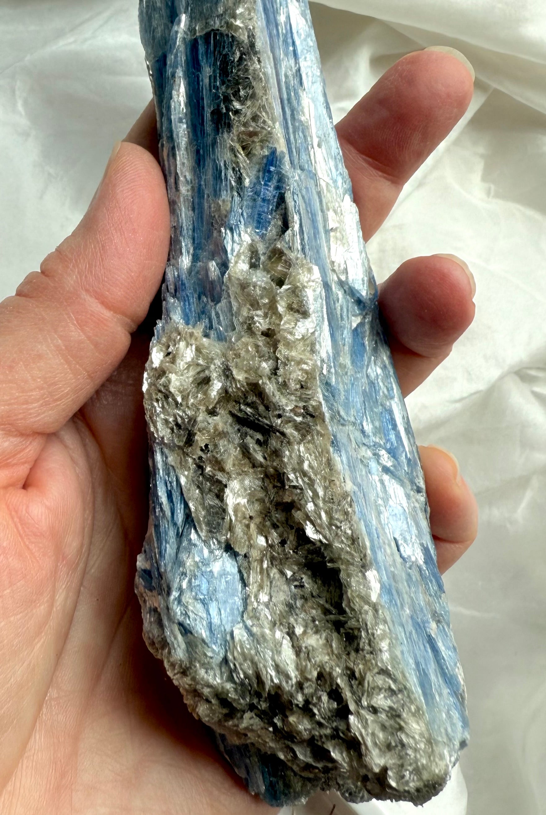 Detail of blue kyanite blades and muscovite inclusions, natural unpolished crystal specimen