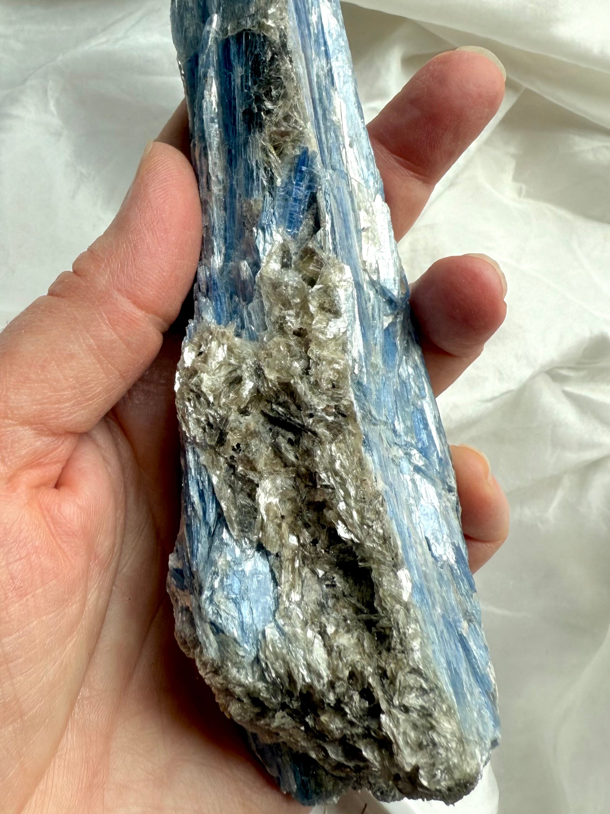 Detail of blue kyanite blades and muscovite inclusions, natural unpolished crystal specimen