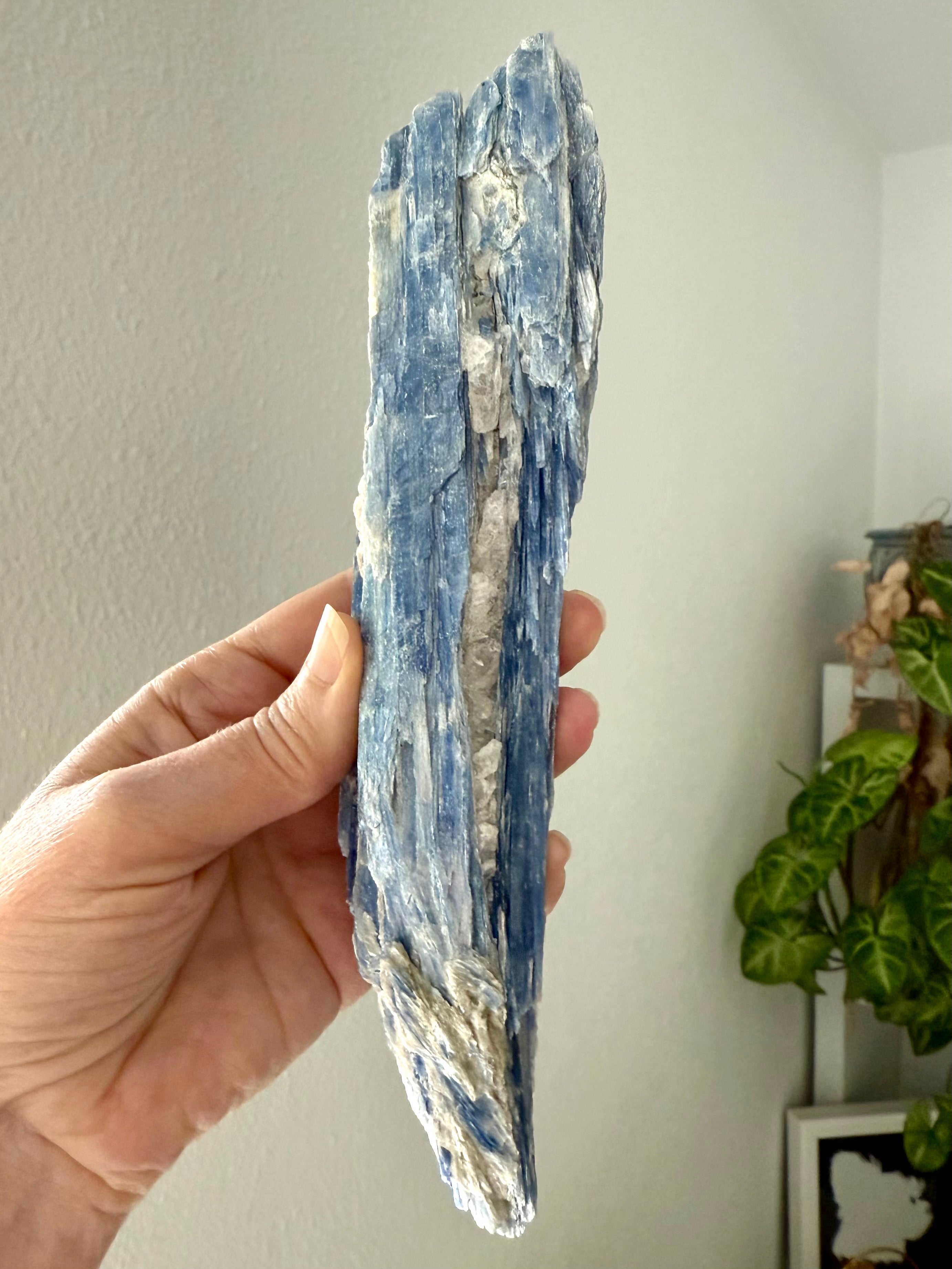 Blue Kyanite blade crystal with quartz, muscovite + black tourmaline inclusion, large raw healing stone for throat chakra alignment, energy clearing + spiritual protection