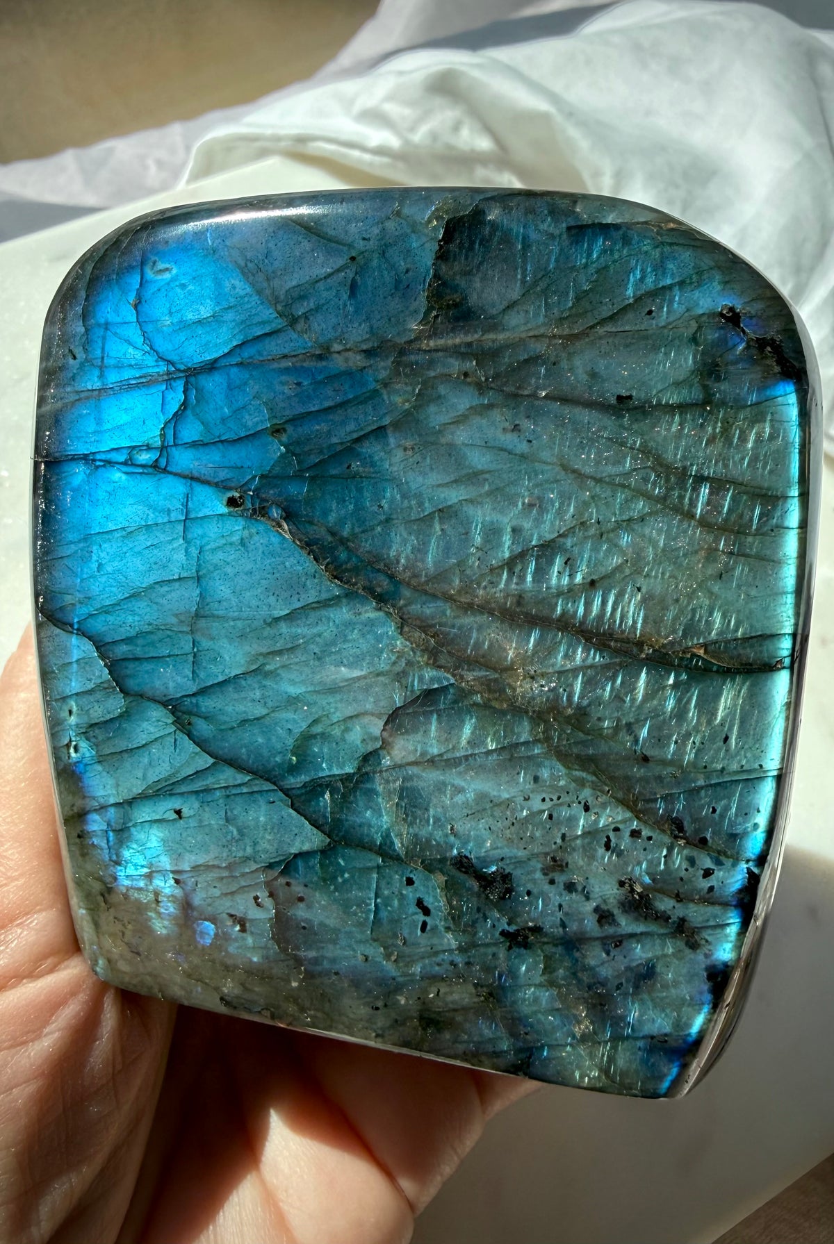 Full flash blue Labradorite crystal with brilliant labradorescence and dark contrasting mineral patterns