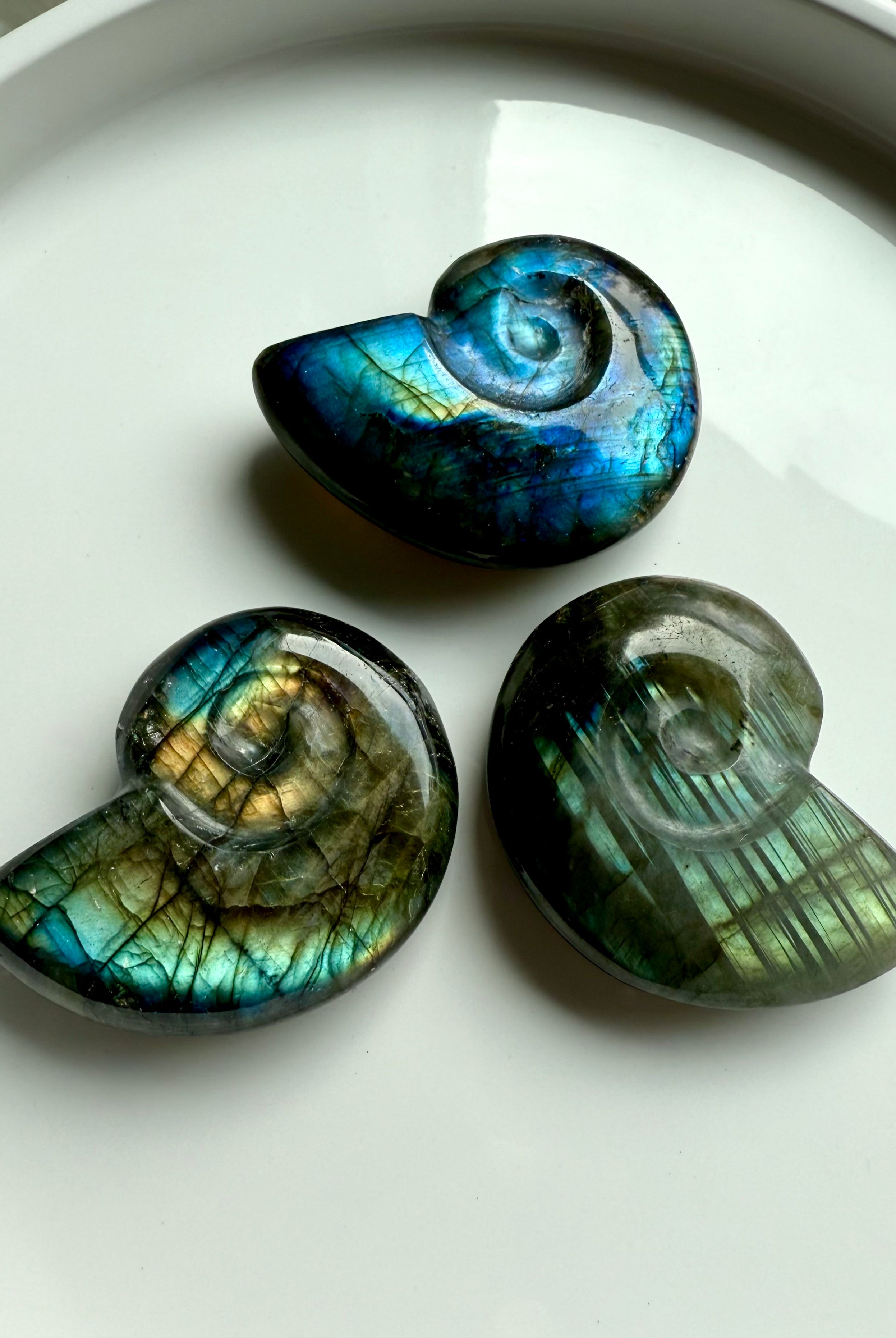 labradorite shell carvings set of three flashy spiral crystal shells for third eye chakra and spiritual display