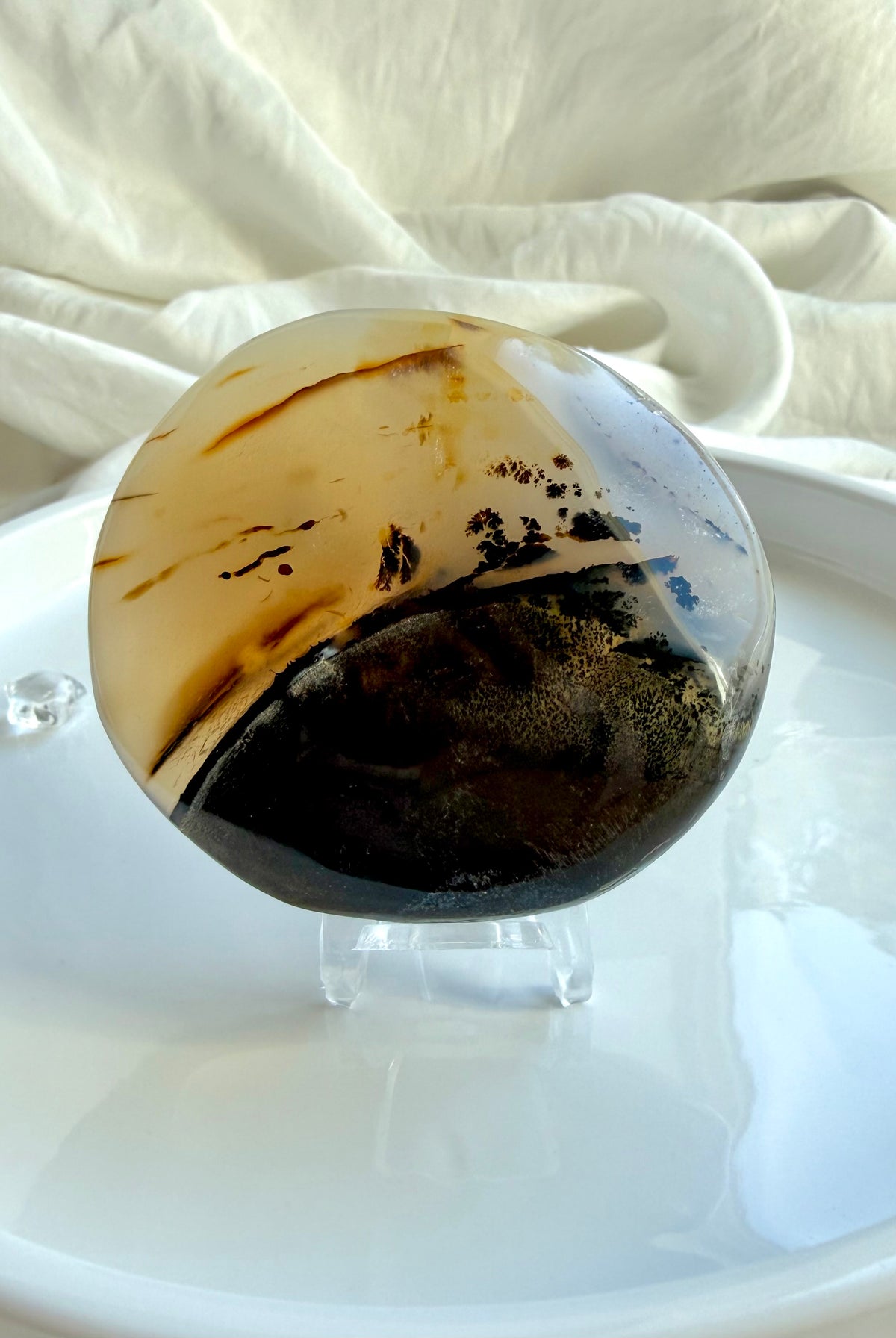 Polished Dendritic Agate crystal displayed upright, featuring cream and amber banding above a deep smoky brown base