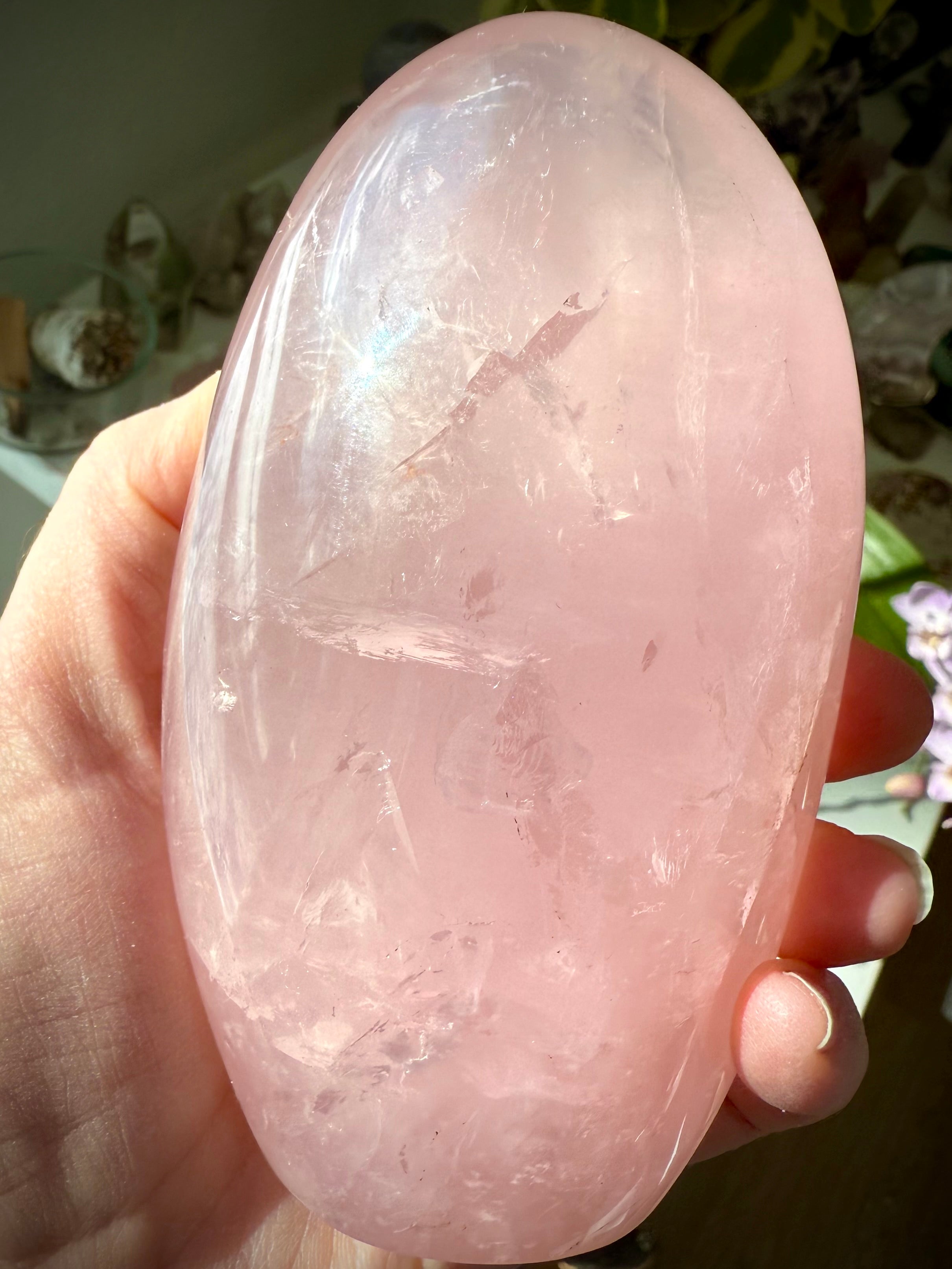 Asteriated Rose Quartz Crystal from Madagascar with flashy rainbows + cats eye asterism in the light