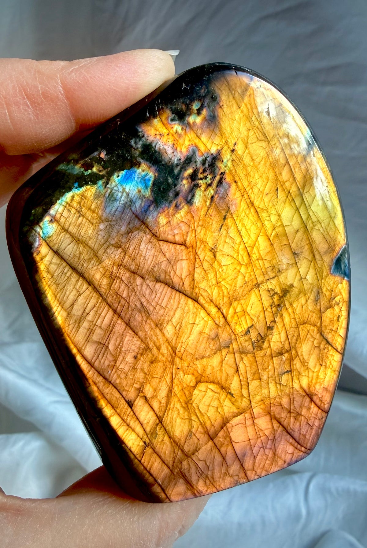 Orange Labradorite freeform held in hand showing brilliant copper, pink and purple flash