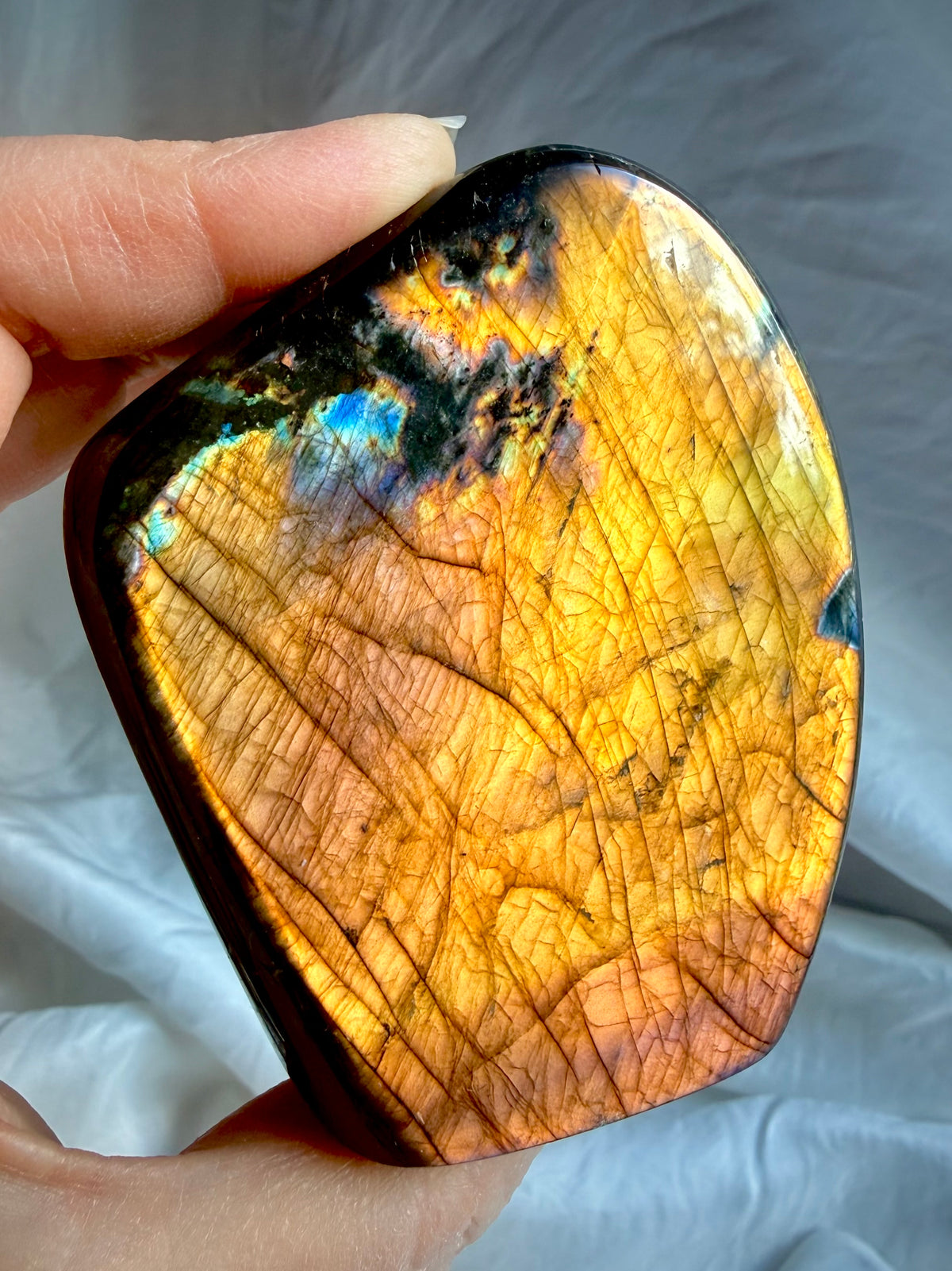 Orange Labradorite freeform held in hand showing brilliant copper, pink and purple flash
