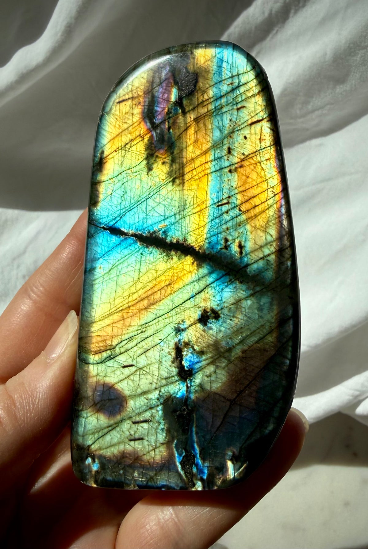 Rainbow Flash Labradorite freeform with brilliant blue, aqua, green, gold, and rainbow labradorescence