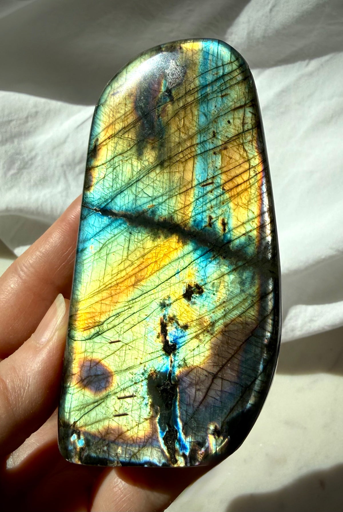 Labradorite freeform with brilliant golden yellow, aqua, and green labradorescence