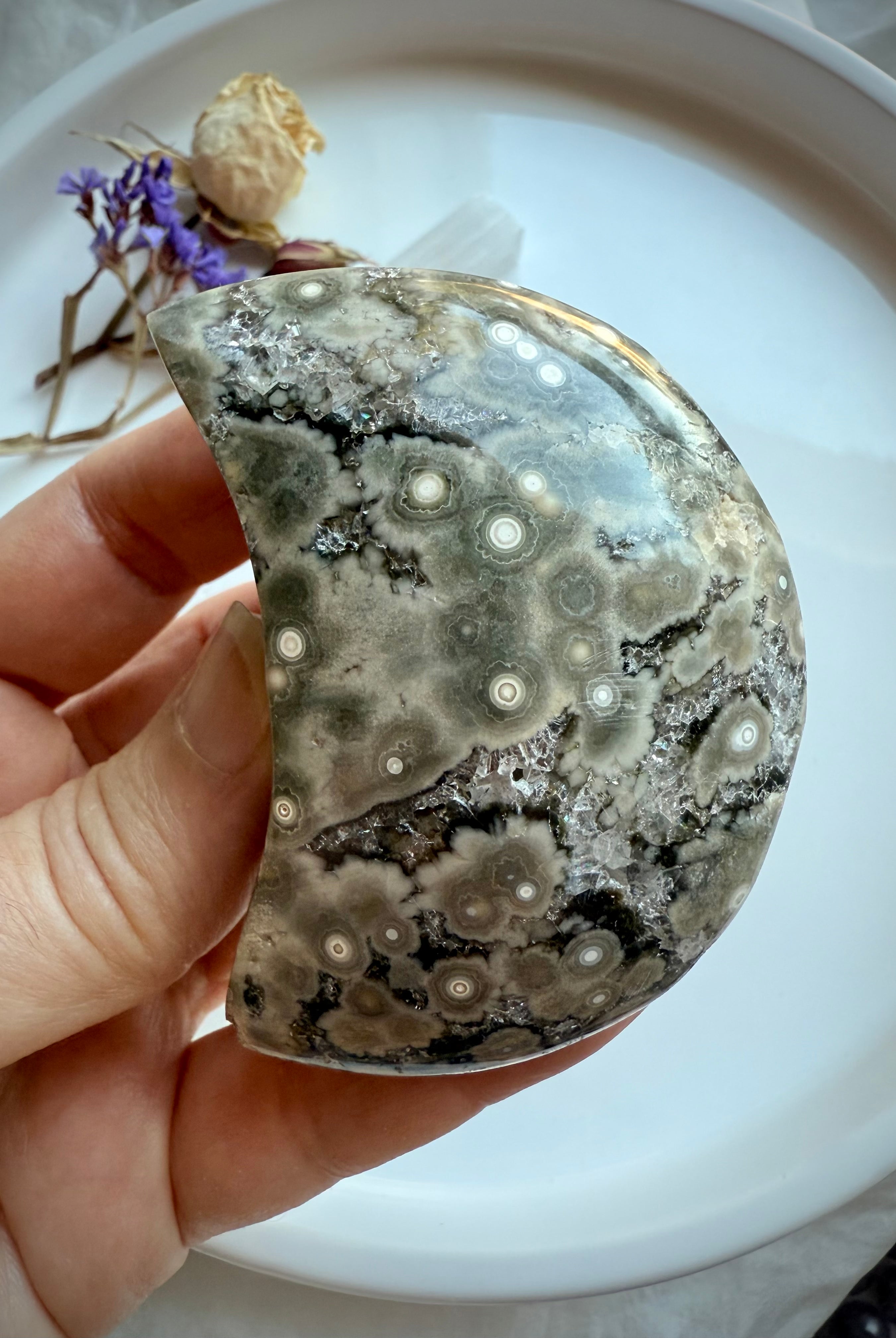 Madagascar orbicular Ocean Jasper crescent moon featuring multi-toned starburst patterns and textured druzy