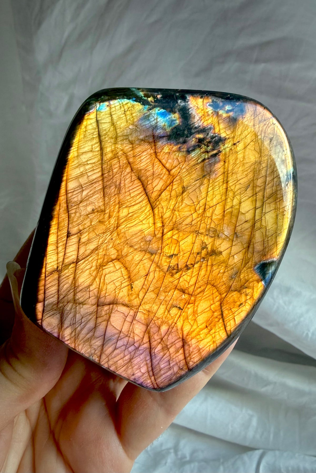Orange Flash Labradorite freeform held in sunlight showing vibrant coppery orange and purple color play