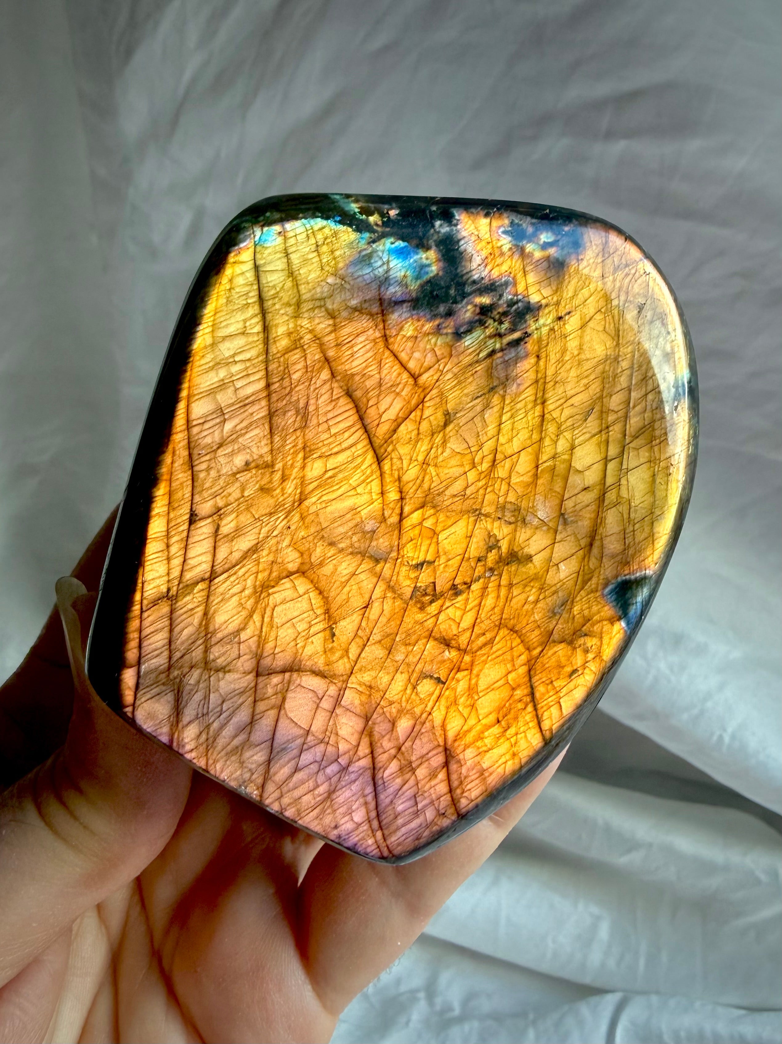 Orange Flash Labradorite freeform held in sunlight showing vibrant coppery orange and purple color play