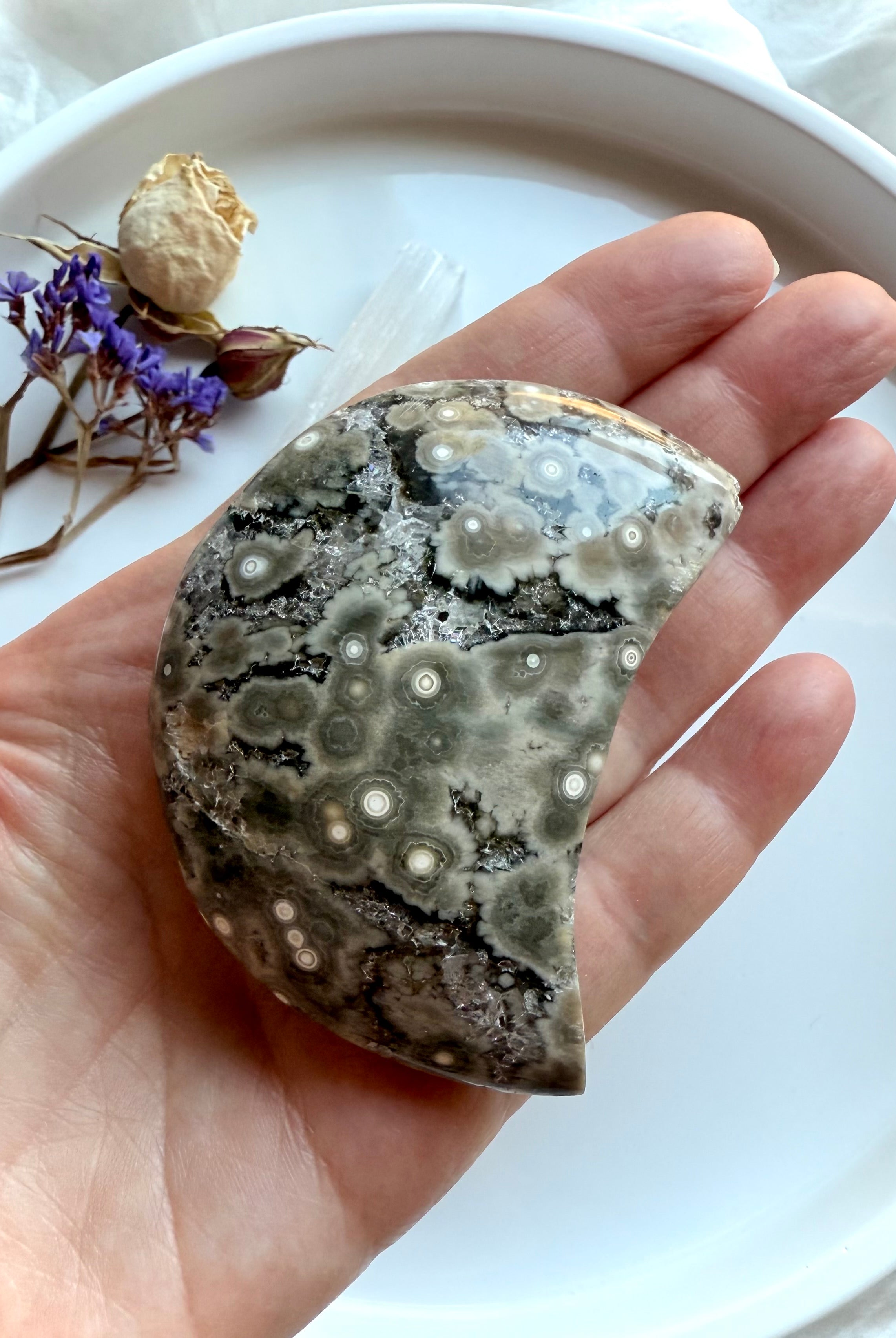 Orbicular Ocean Jasper crescent moon held in hand showing detailed gray and cream bullseye patterns and natural druzy