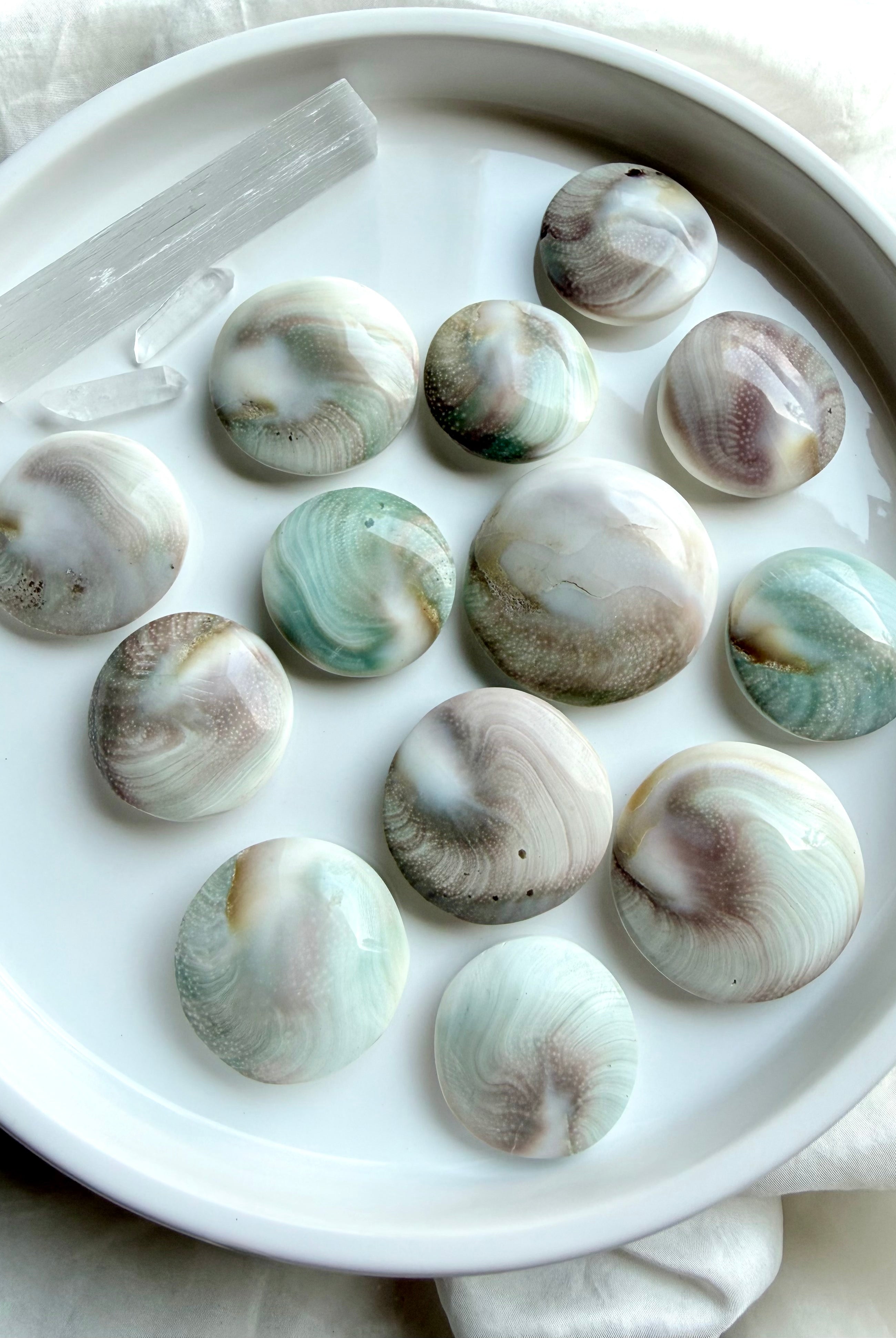 mixed Shiva Eye shells showing natural back sides with pearl-toned shell patterns and ocean-inspired colors