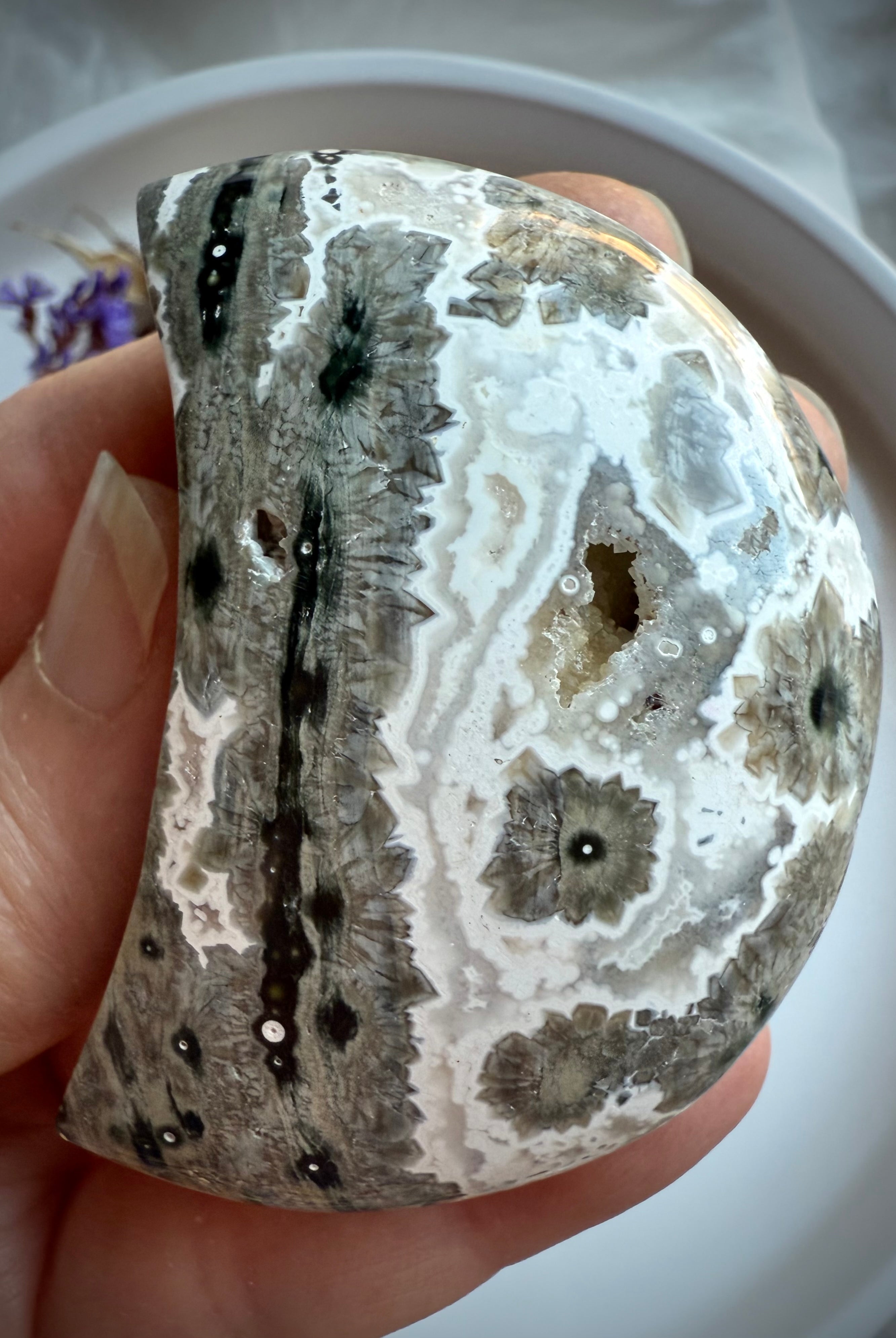 Ocean Jasper Crescent Moon palm stone with gray and black orbicular starburst patterns held in hand for grounding, strength and inner healing