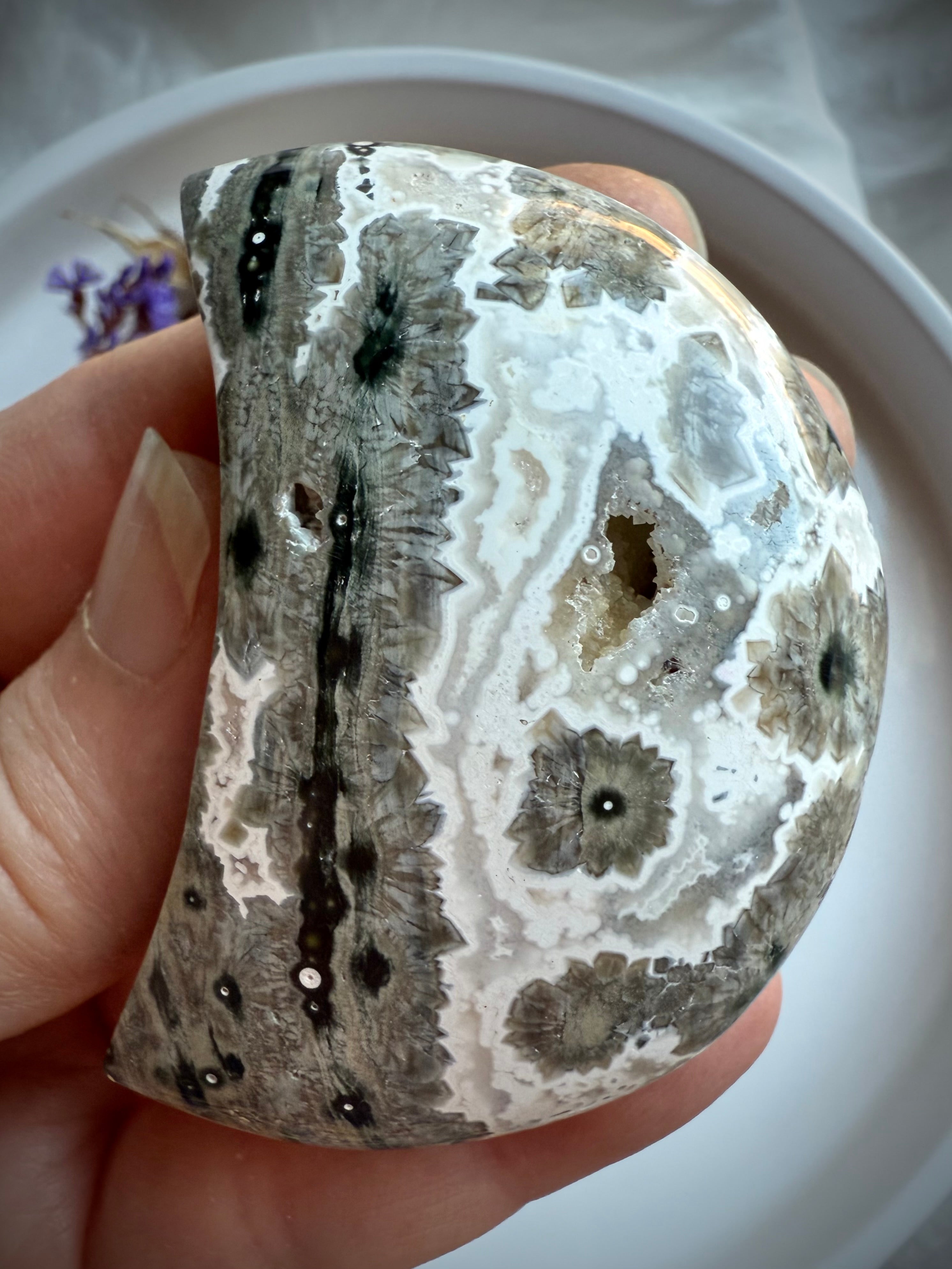 Ocean Jasper Crescent Moon palm stone with gray and black orbicular starburst patterns held in hand for grounding, strength and inner healing