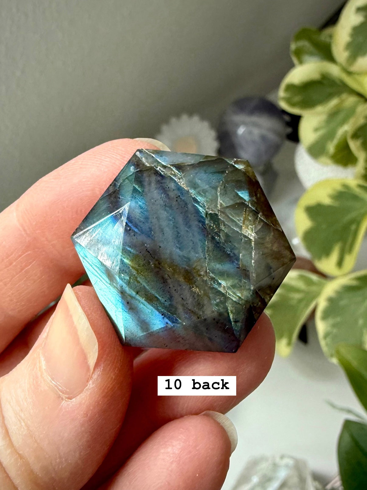 A labradorite hexagon crystal held in hand with a plant in the background