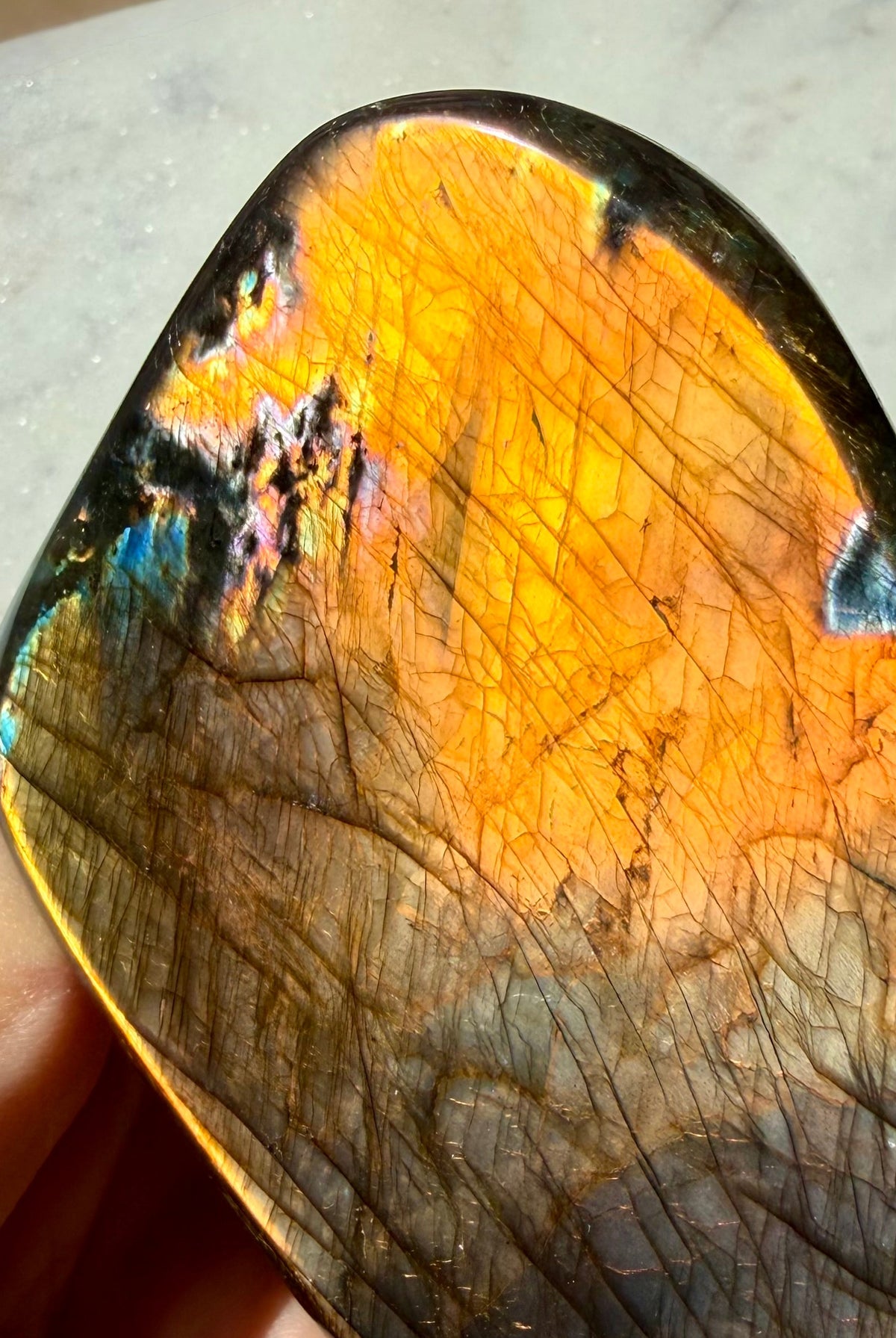 Full flash Labradorite crystal with luminous orange labradorescence and electric blue edge flash