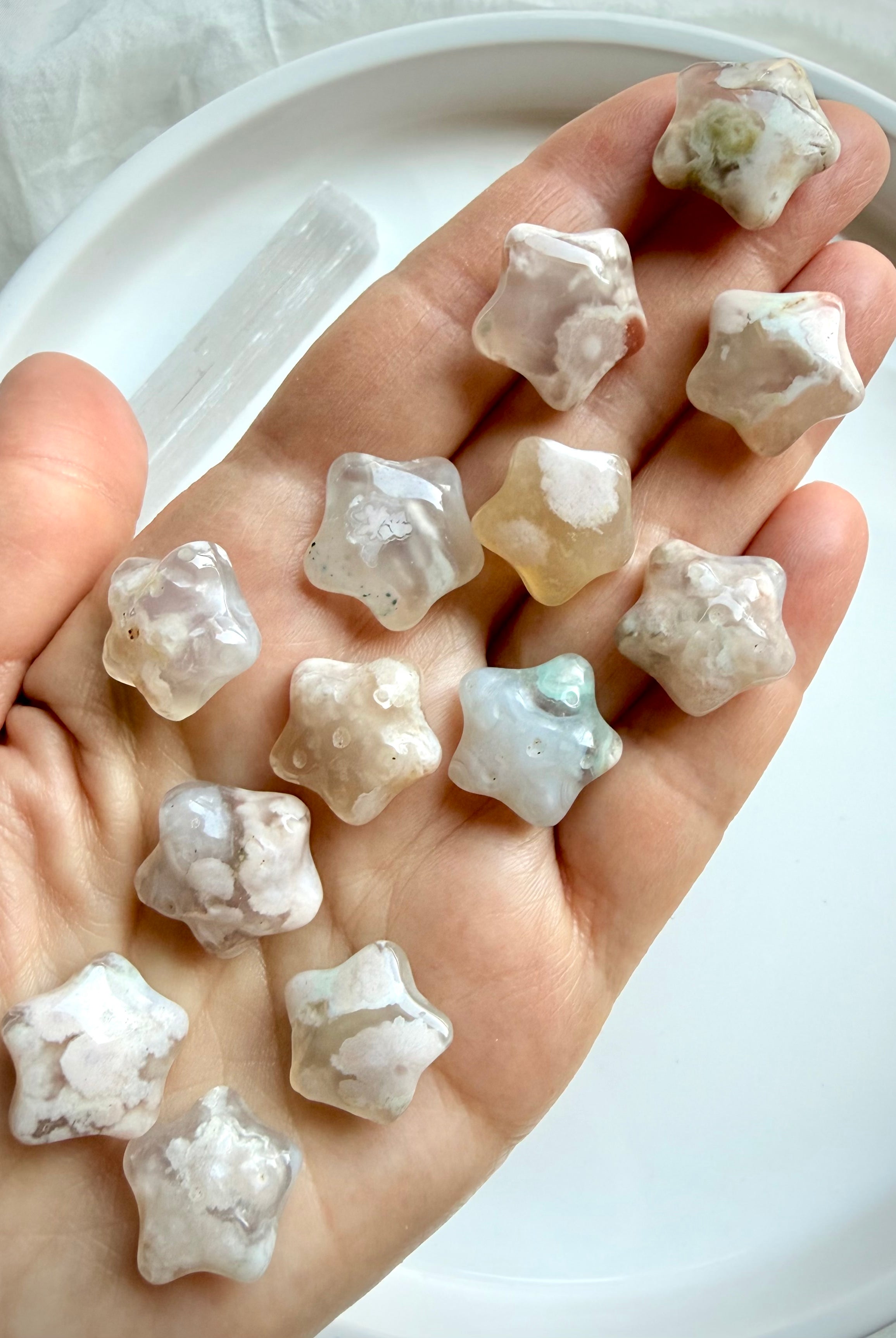 Flower Agate starfish crystals displayed in hand highlighting natural translucency and unique floral landscapes