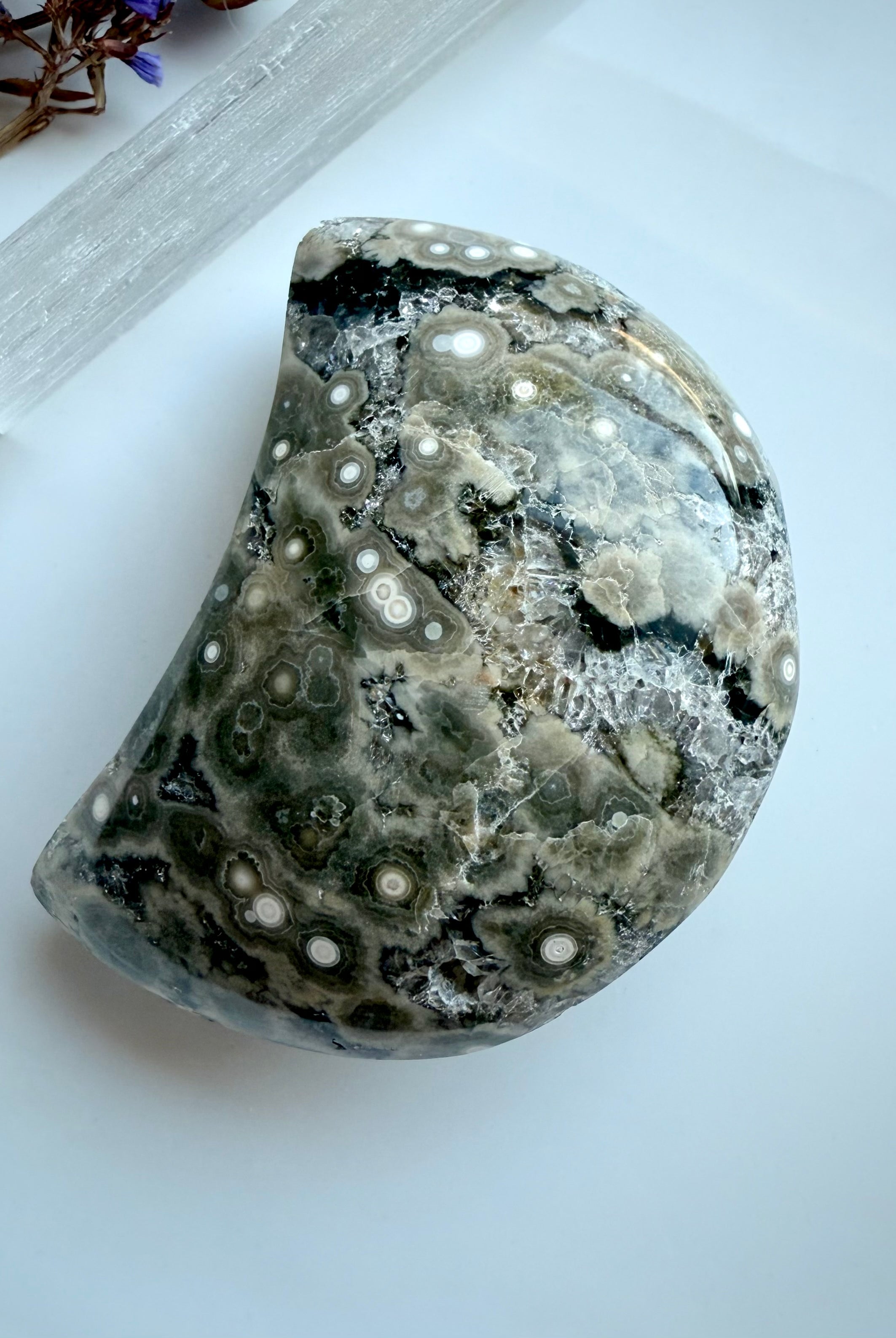 Polished orbicular Ocean Jasper moon with gray, cream, and white concentric patterns and sparkling druzy detail