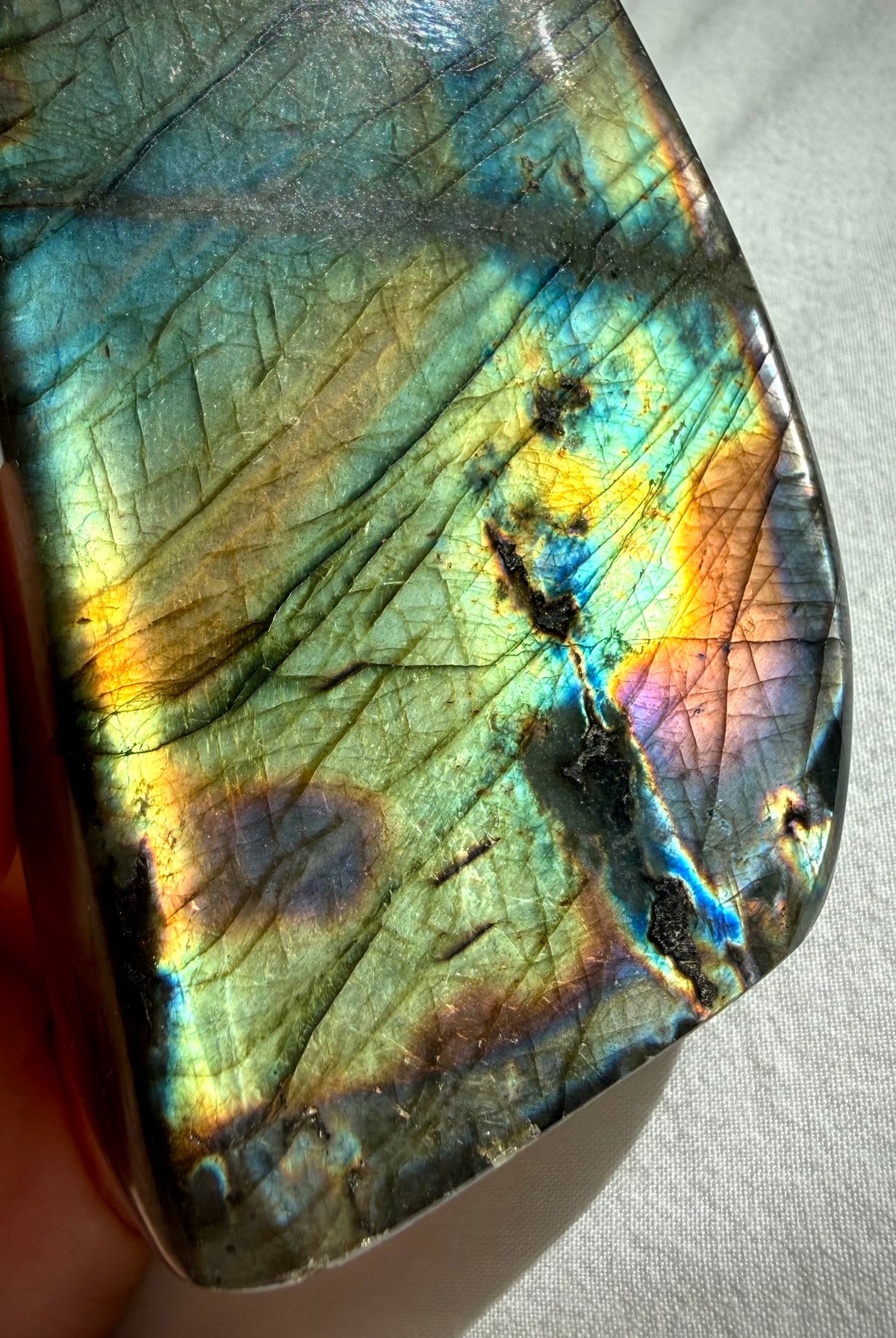 Polished Labradorite freeform with colorful rainbow flash in gold, aqua, green, orange, pink, and blue tones