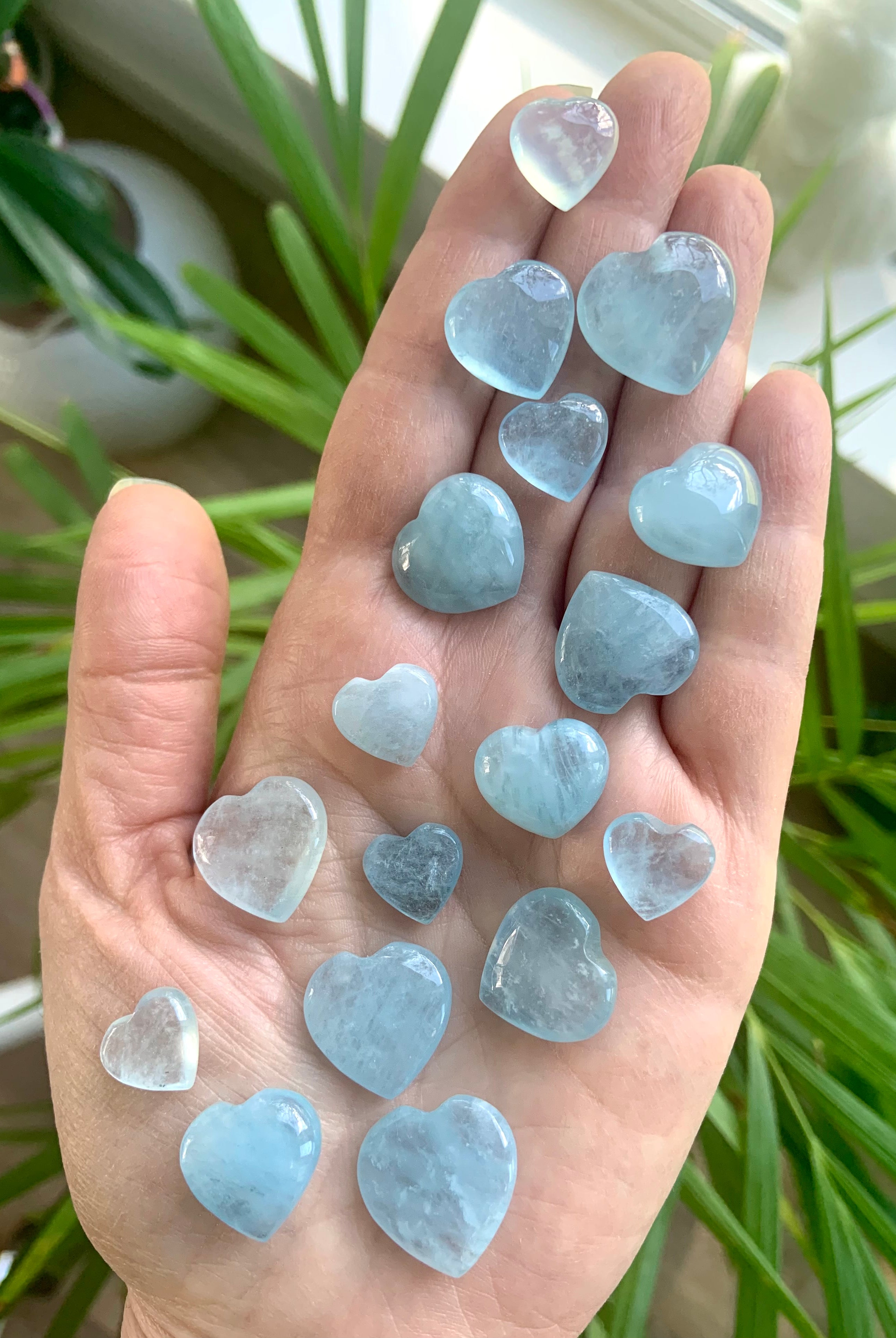 Hand holding a variety of mini Aquamarine crystal hearts with a plant in the background — calming throat chakra stones for truth, peace + emotional healing.