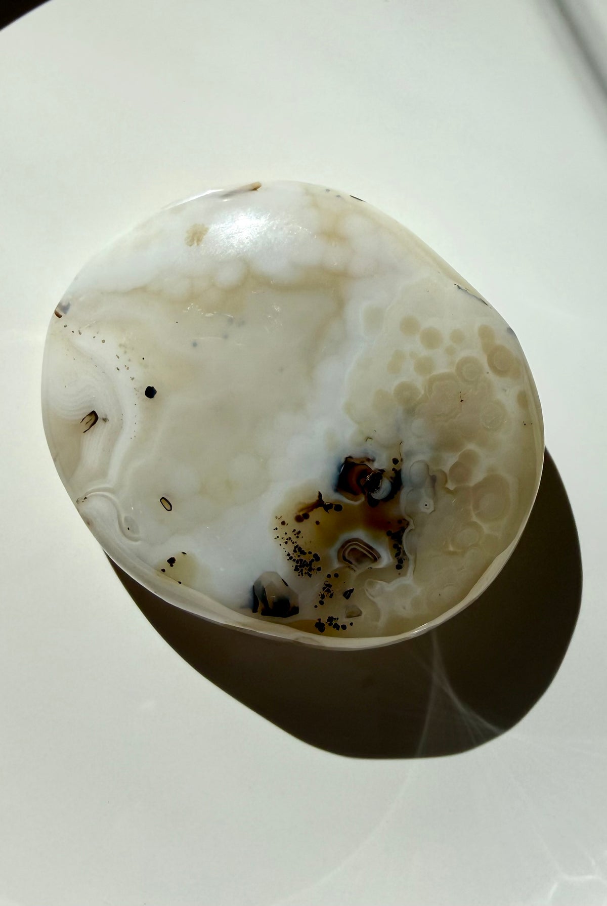 Dendritic Agate freeform crystal displayed flat in bright sunlight, featuring pale ivory coloring and concentrated black mineral inclusions