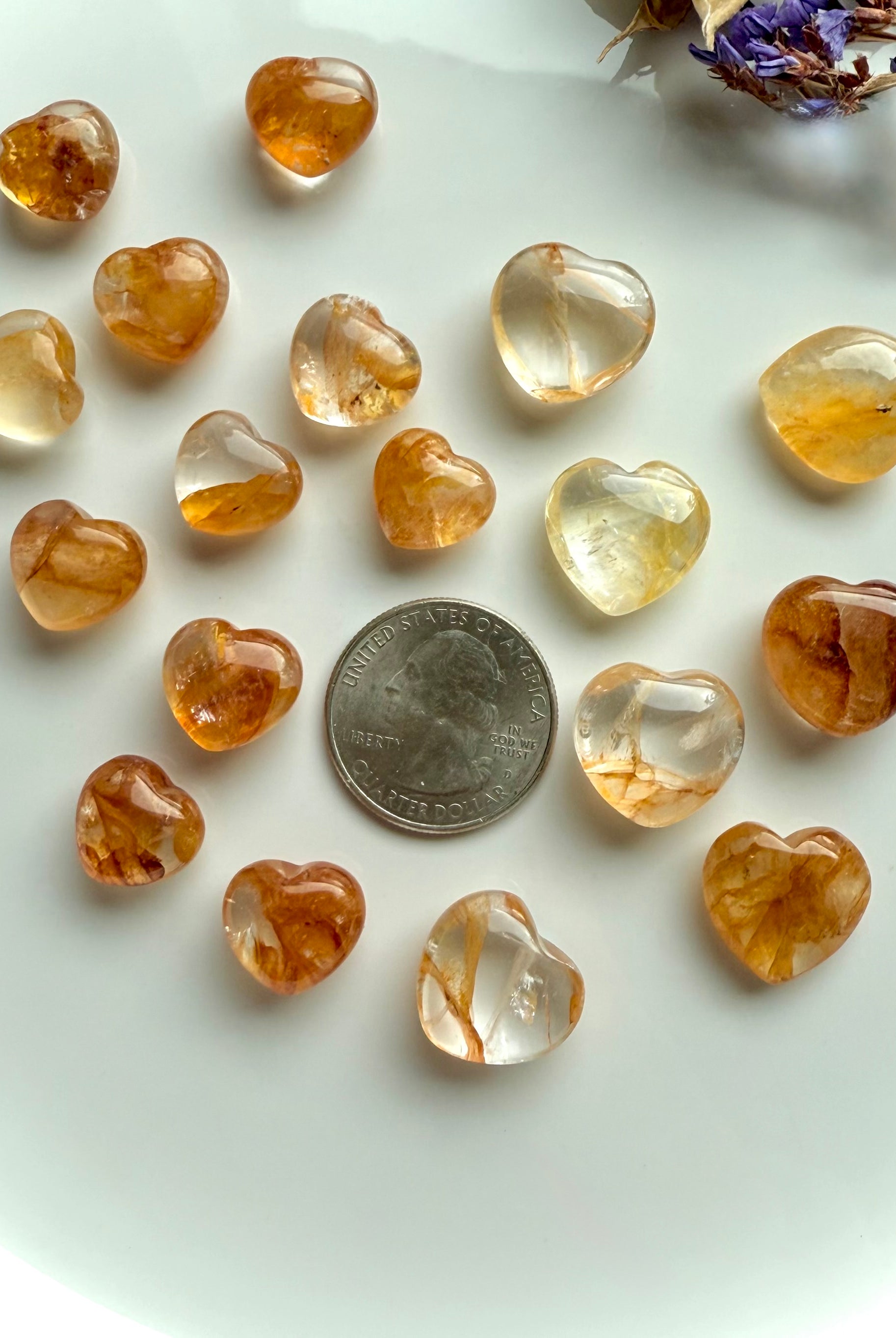 Heart-shaped golden healer quartz gems with a quarter for scale on a white surface