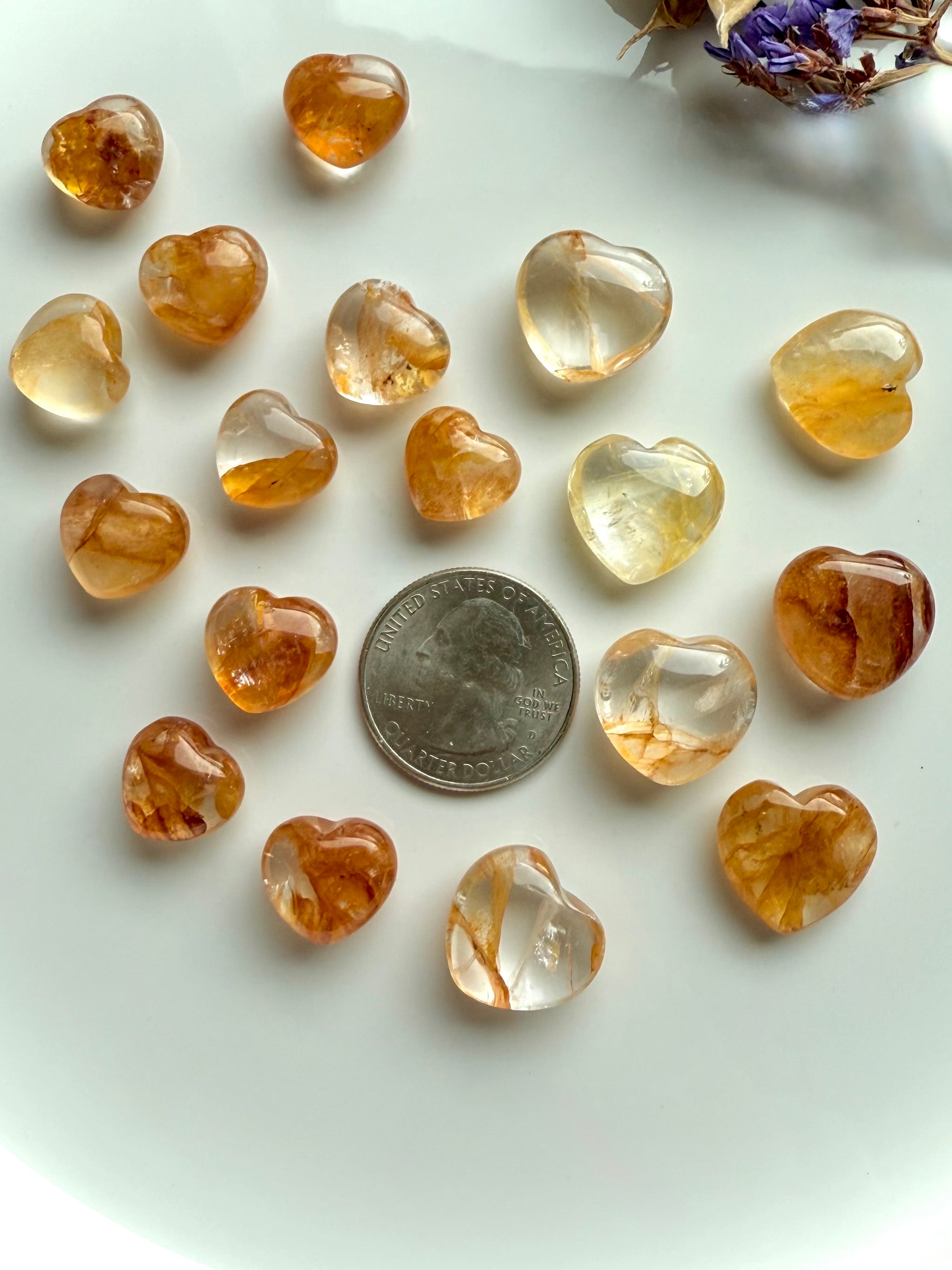 Heart-shaped golden healer quartz gems with a quarter for scale on a white surface