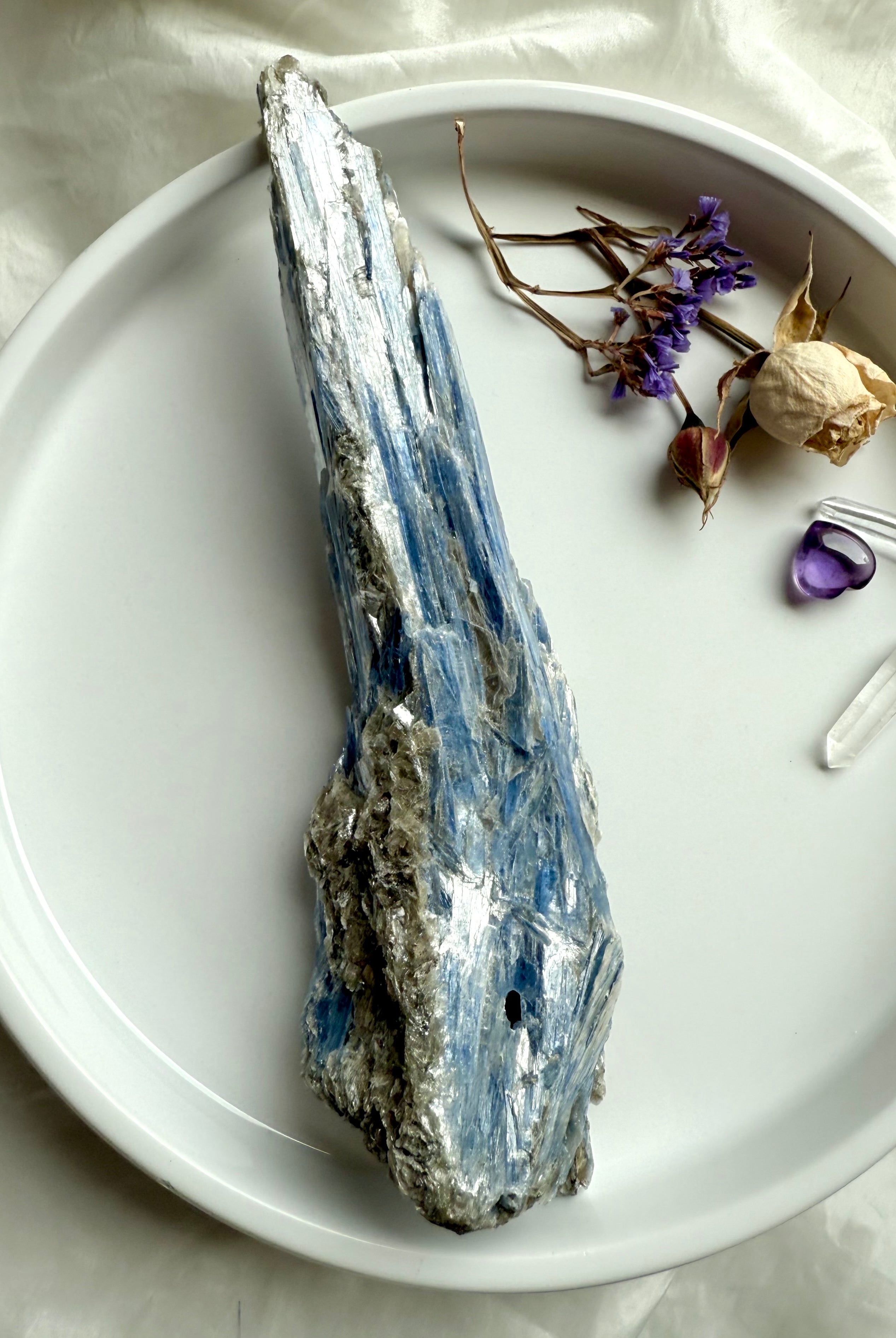 Raw Blue Kyanite with Muscovite specimen on white tray, natural high vibration throat chakra crystal for meditation and energy healing
