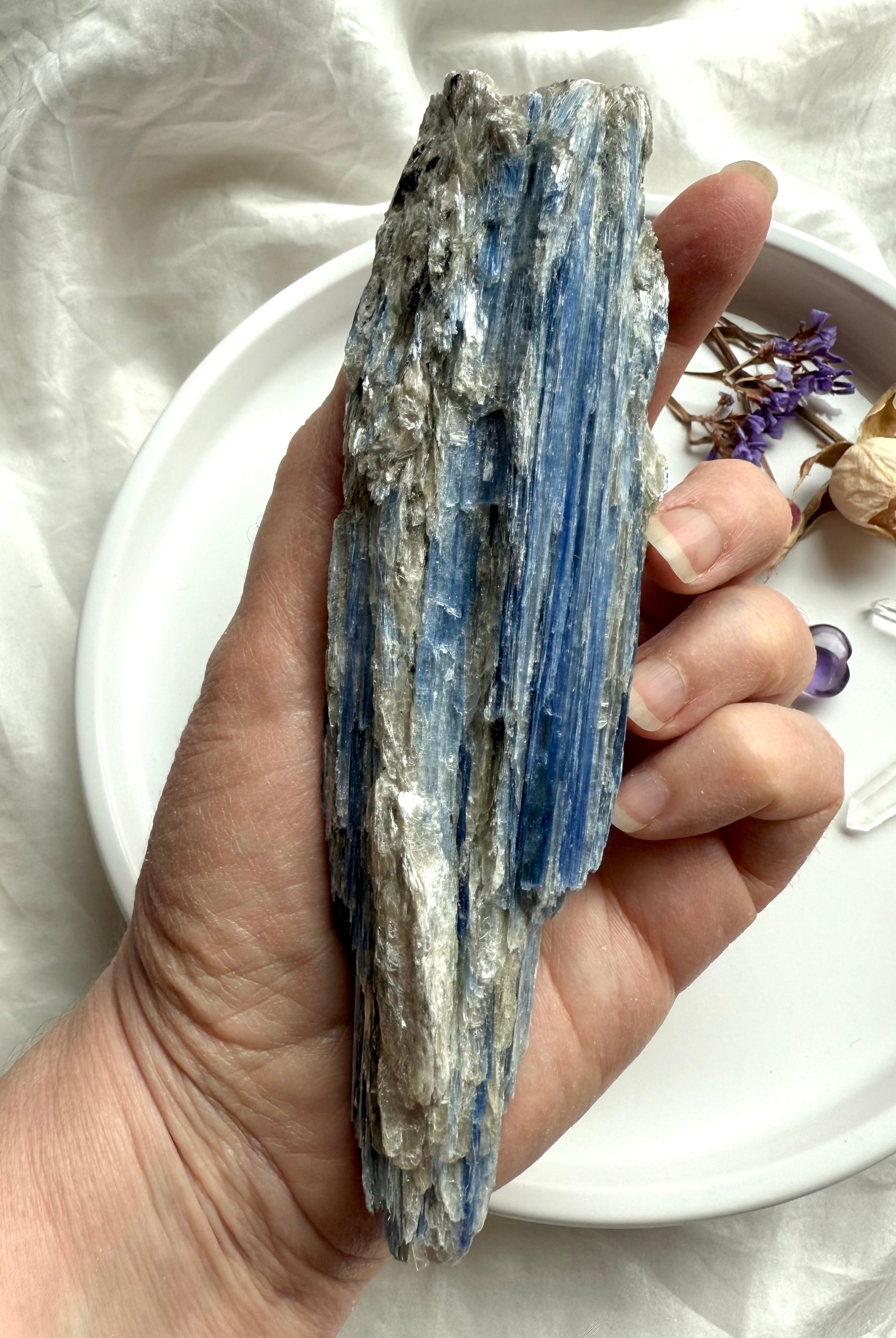 Blue kyanite crystal with muscovite inclusions, raw mineral specimen for throat chakra alignment and spiritual clarity