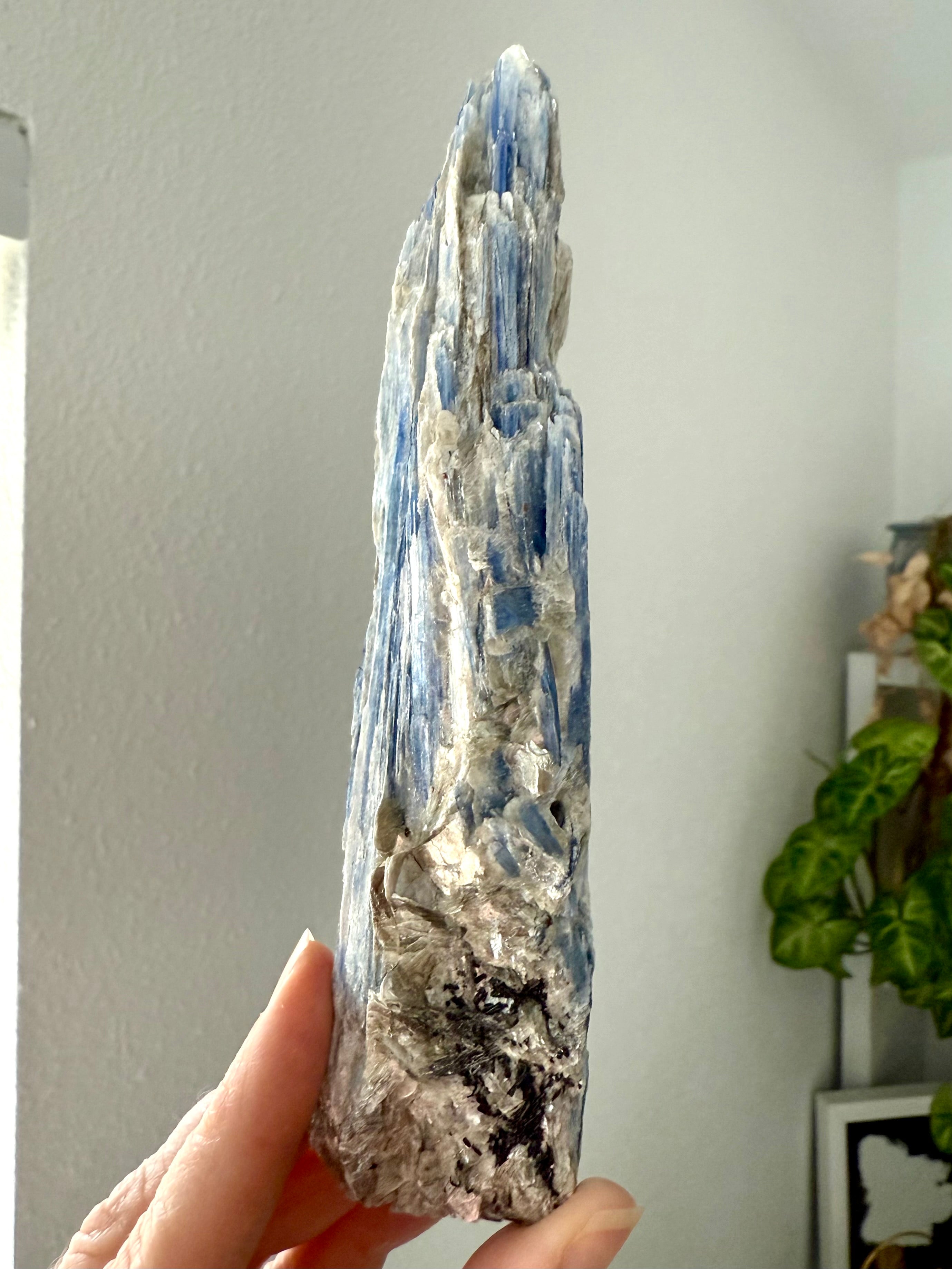 One of a kind blue kyanite + muscovite stone showing crystalline layers and organic formation