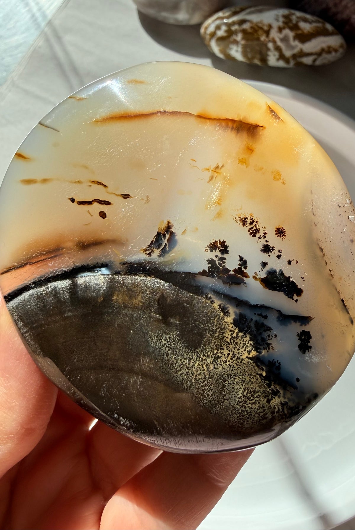 Dendritic Agate freeform crystal with golden honey and cream banding, smoky brown tones and black tree-like inclusions