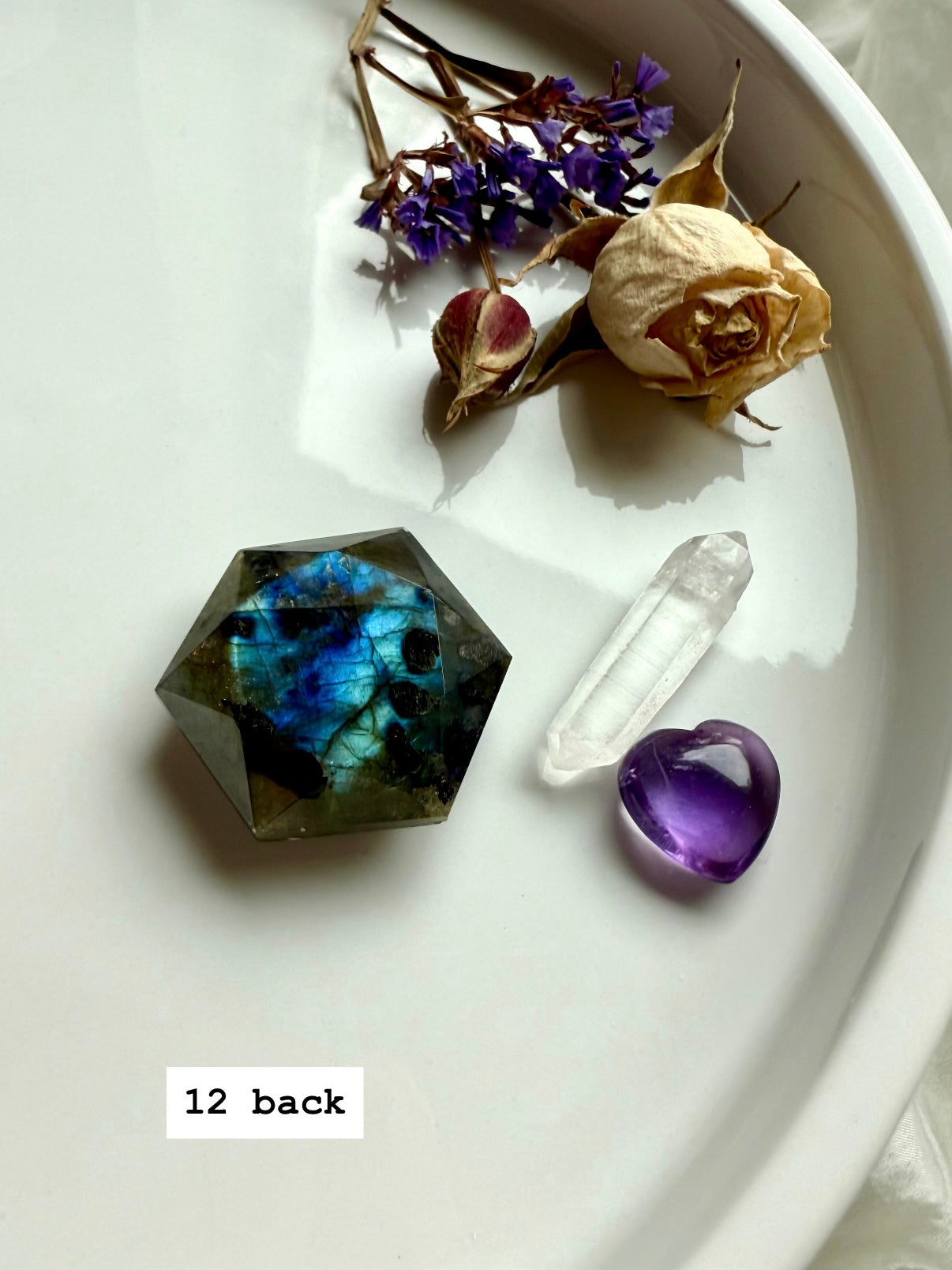 Faceted Labradorite hexagon crystal displayed in sacred altar layout with flowers and quartz points