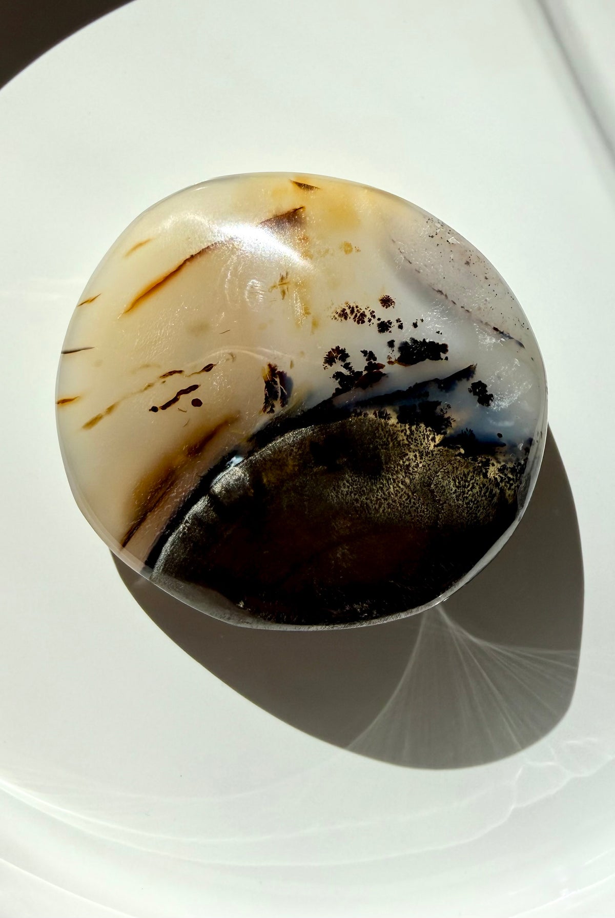 Polished Dendritic Agate freeform featuring layered cream and honey tones, smoky brown Agate and intricate dendritic patterns