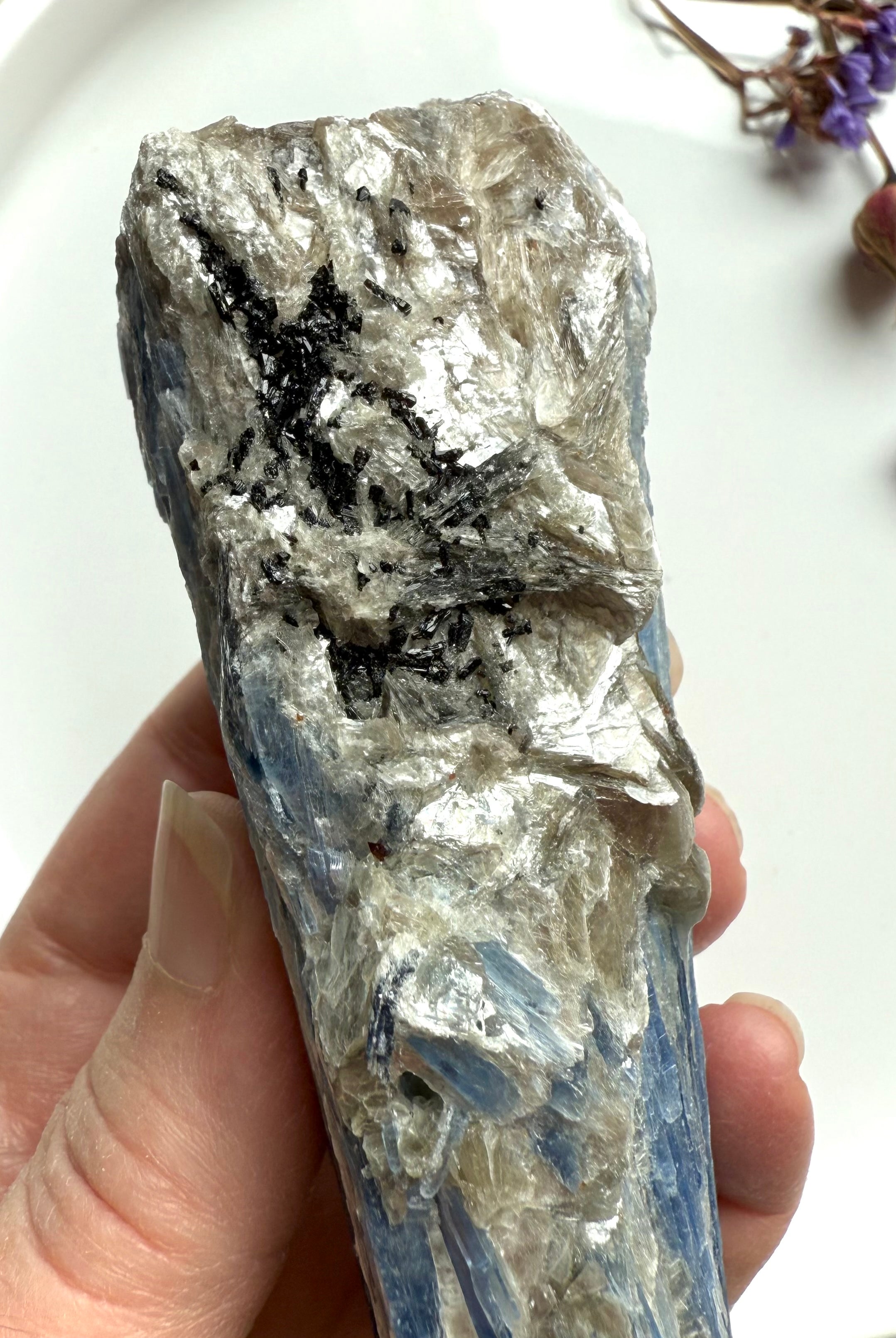 Close-up of raw blue kyanite and muscovite showing silvery mica sparkle, crystal texture and natural mineral layering