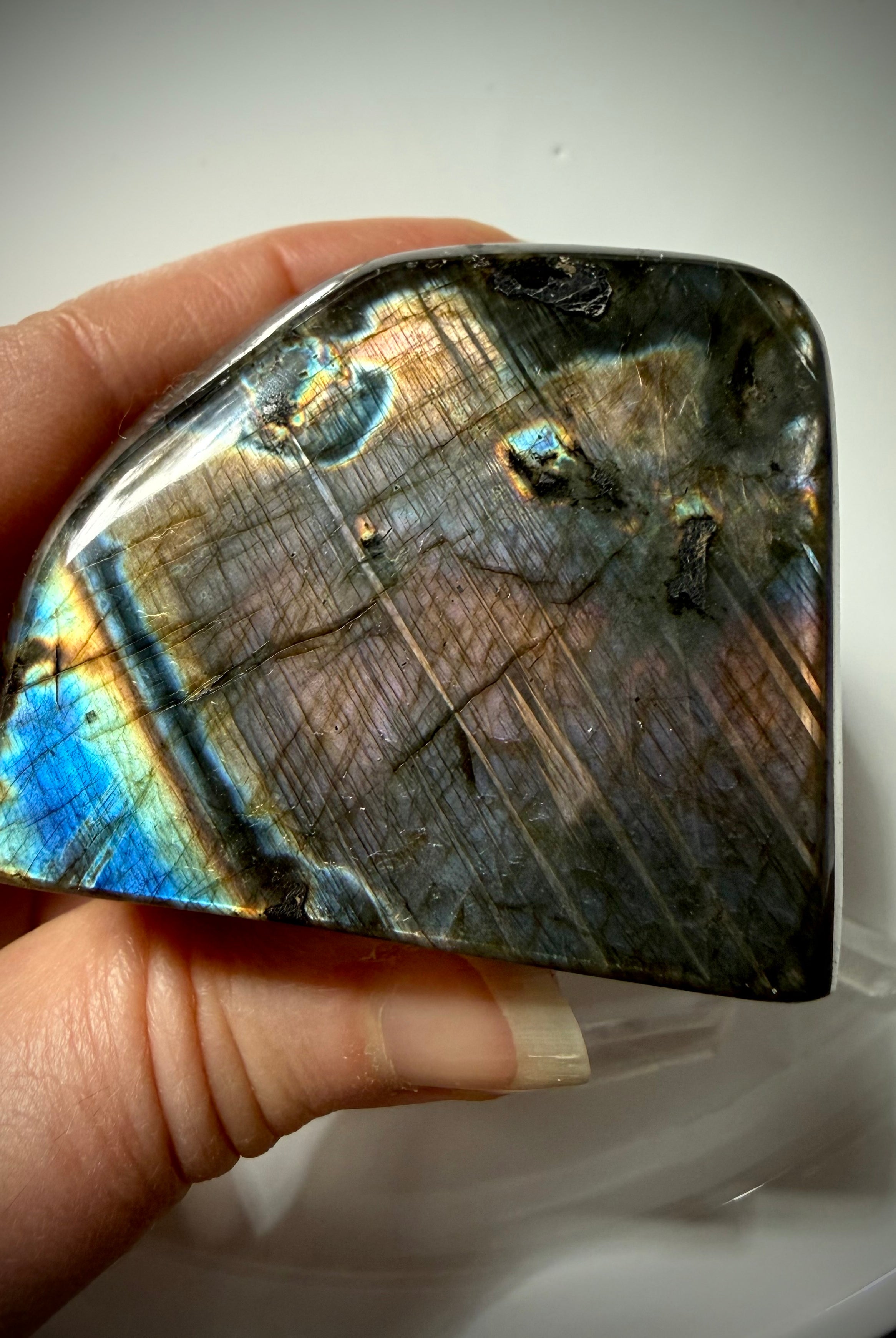 Rainbow Labradorite crystal showing vivid blue, purple and peach labradorescence
