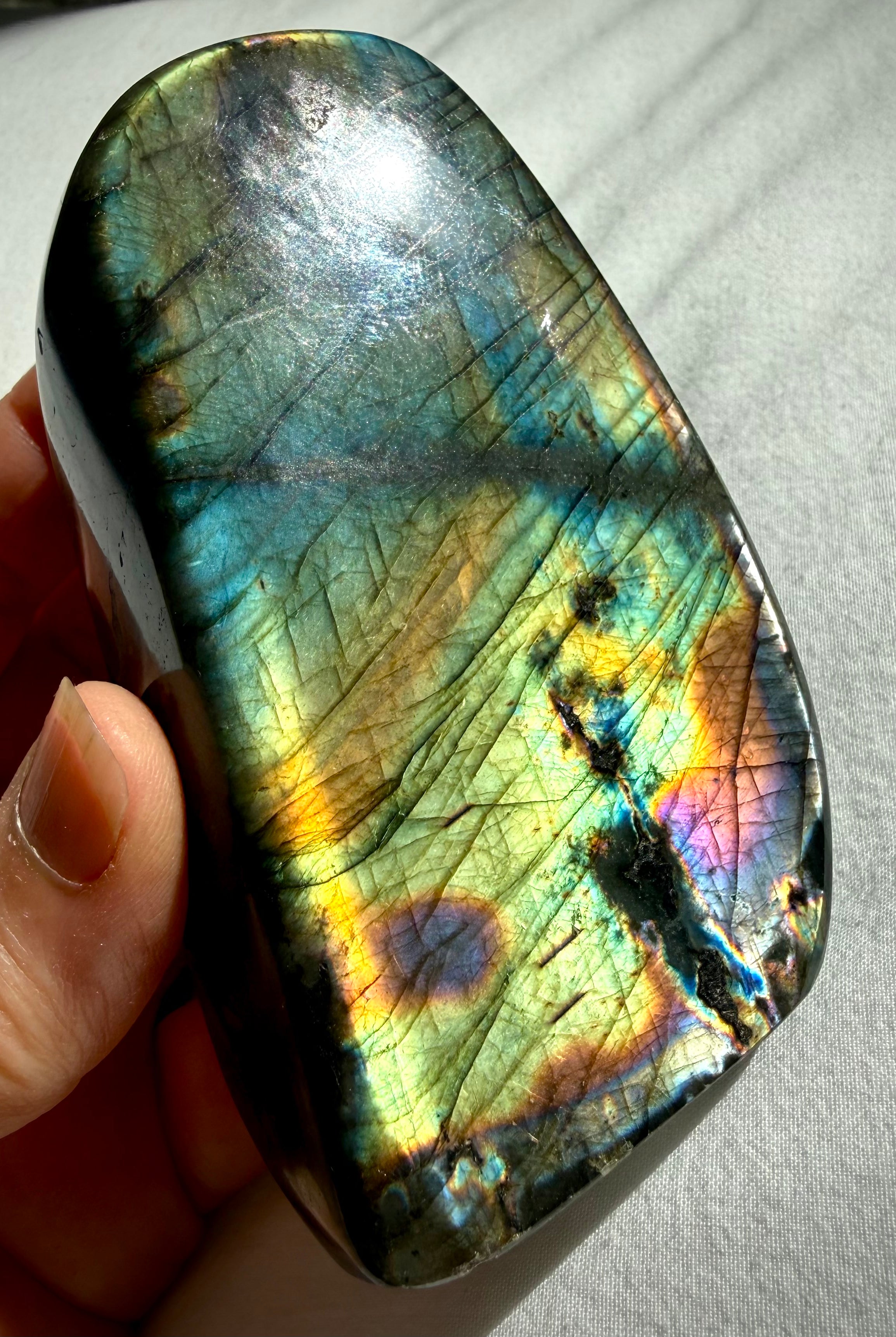 Rainbow Flash Labradorite crystal showing vibrant gold, green, blue, and orange labradorescence from an angled view
