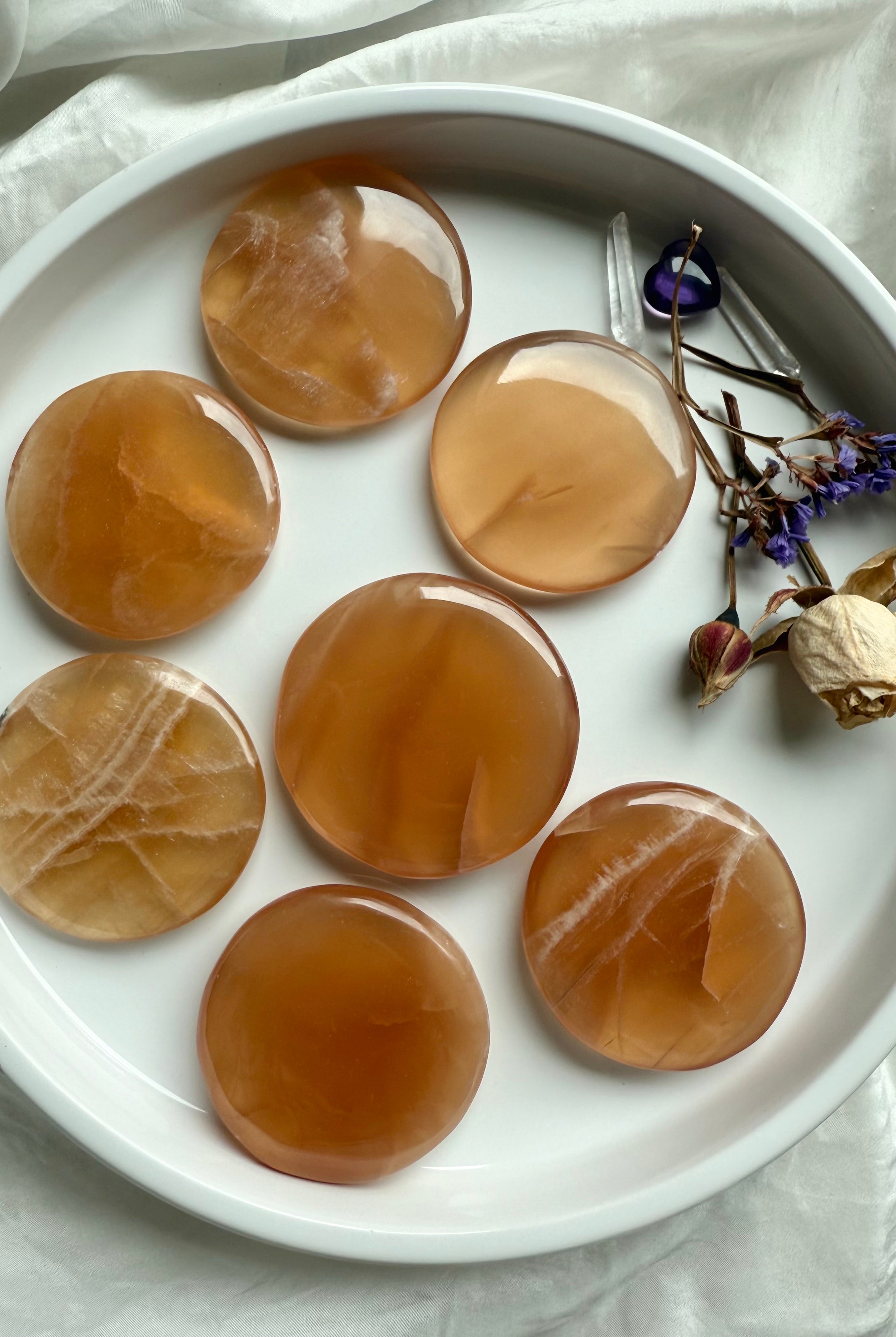 Seven honey calcite crystal discs arranged in a white bowl with dried roses and quartz, showcasing their golden glow and smooth finish.