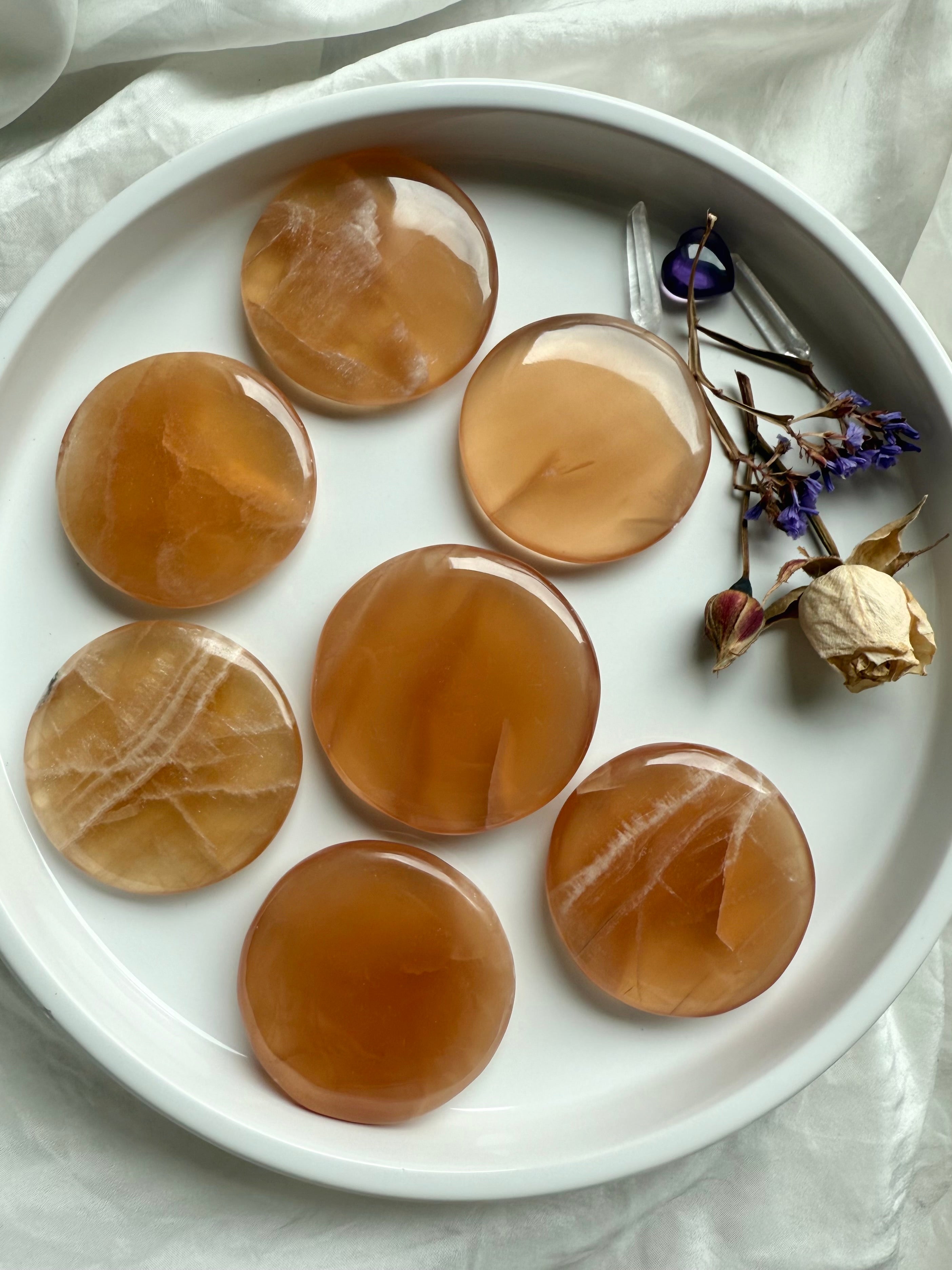 Seven honey calcite crystal discs arranged in a white bowl with dried roses and quartz, showcasing their golden glow and smooth finish.