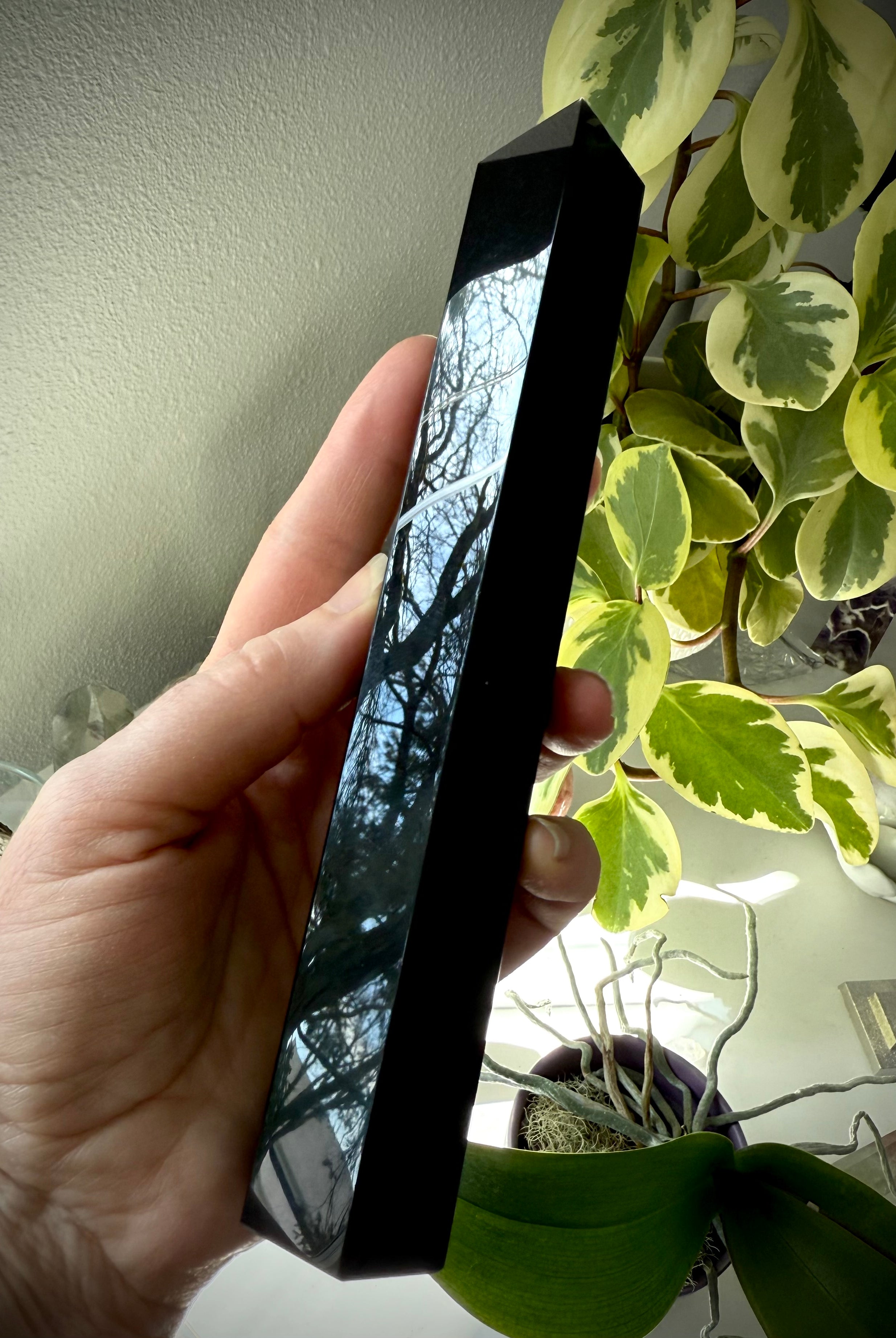 Large Black Obsidian tower with tree foliage reflecting on polished surface — Root Chakra stone for clearing negativity.