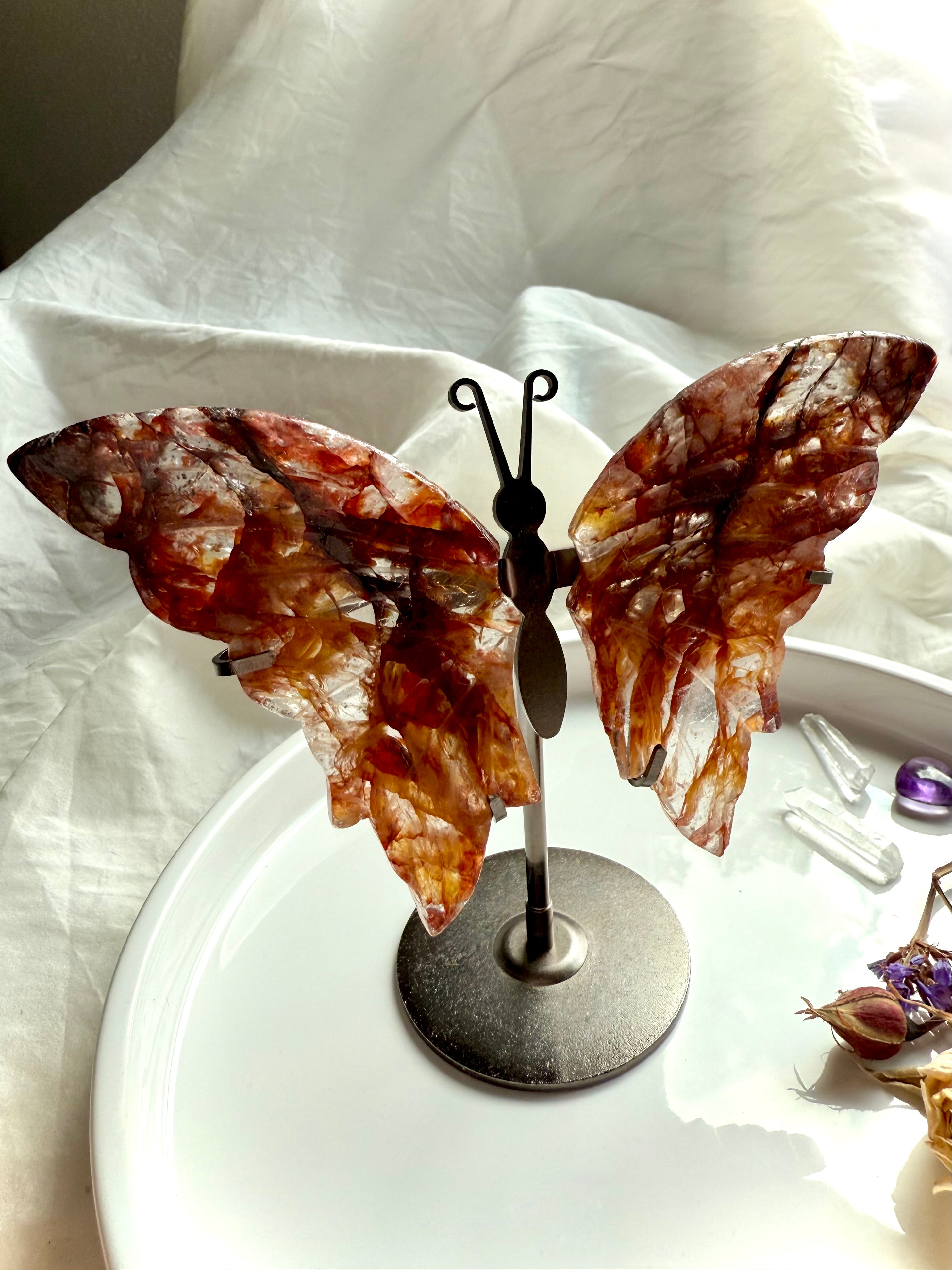 Fire Quartz butterfly sculpture with hematoid and golden healer inclusions glowing in sunlight.