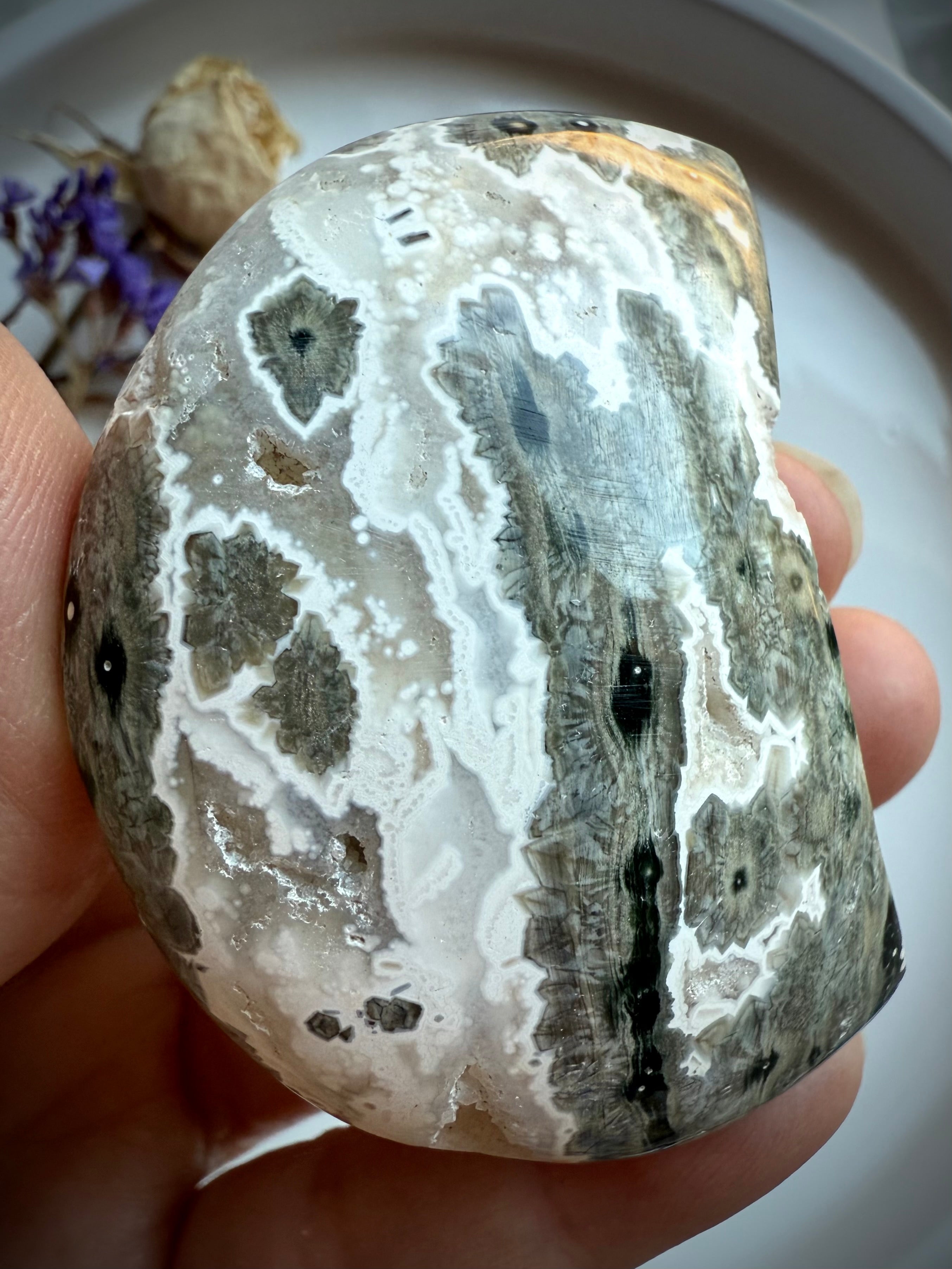 Gray Ocean Jasper Crescent Moon showing bold black starburst flowers and layered banding, healing crystal palm stone for grounding and emotional strength