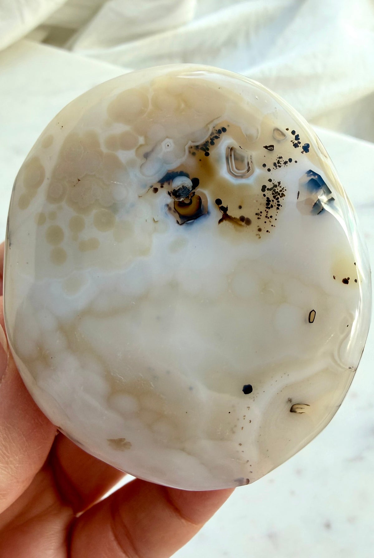 Polished Dendritic Agate freeform showing subtle orbicular formations, creamy Agate and dark branching inclusions